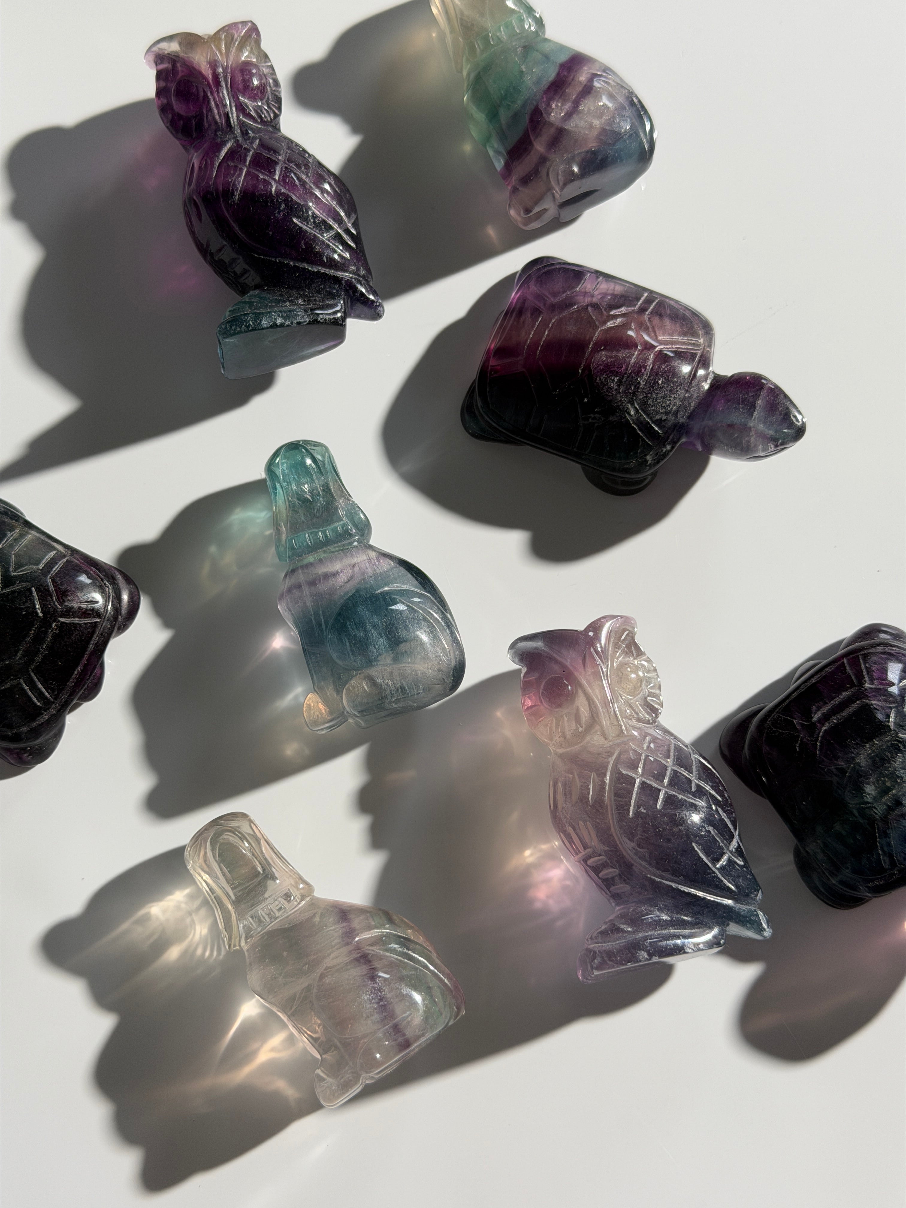 Fluorit Animal Mystery