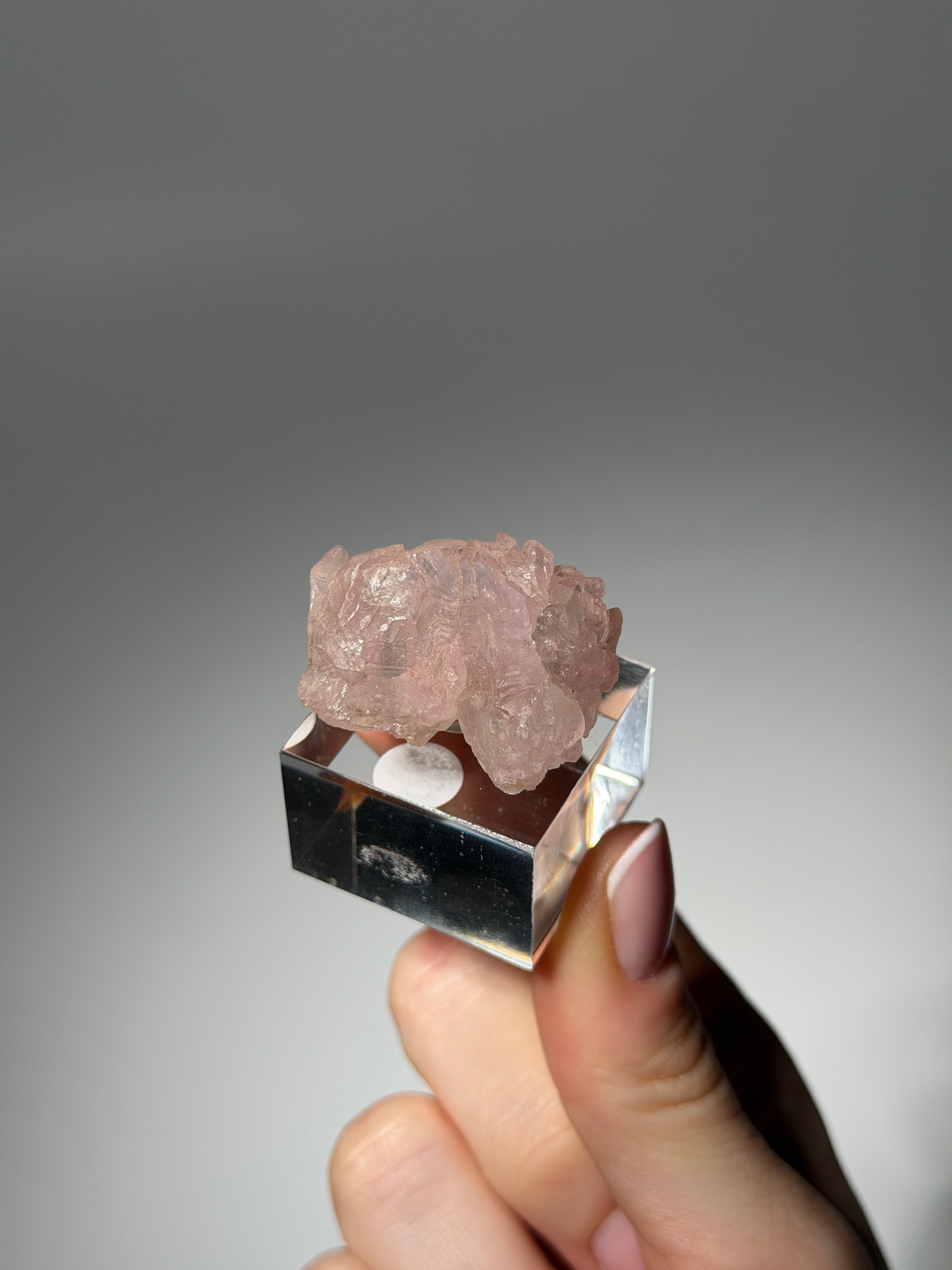 Kristallisierter Rosenquarz Specimen | Rare