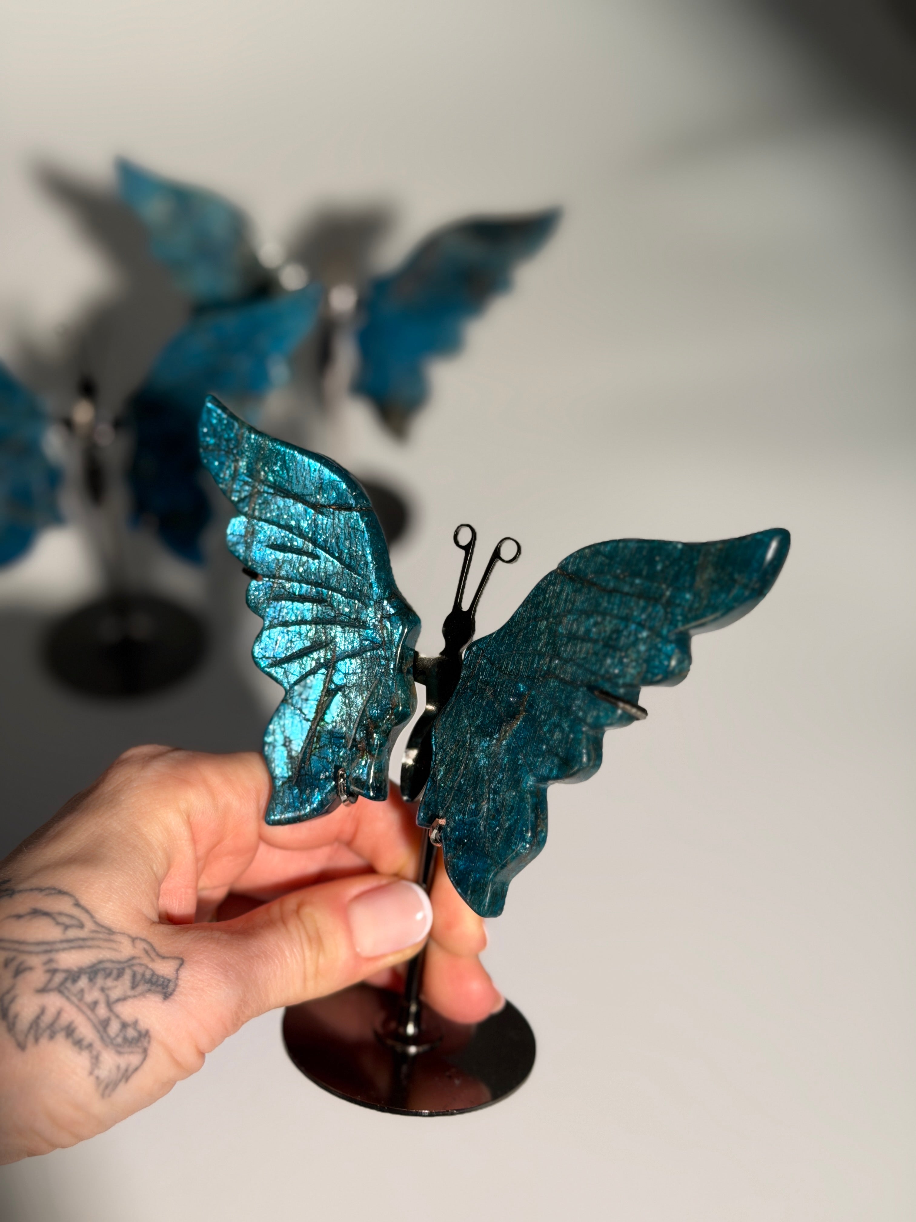 Apatit Schmetterling