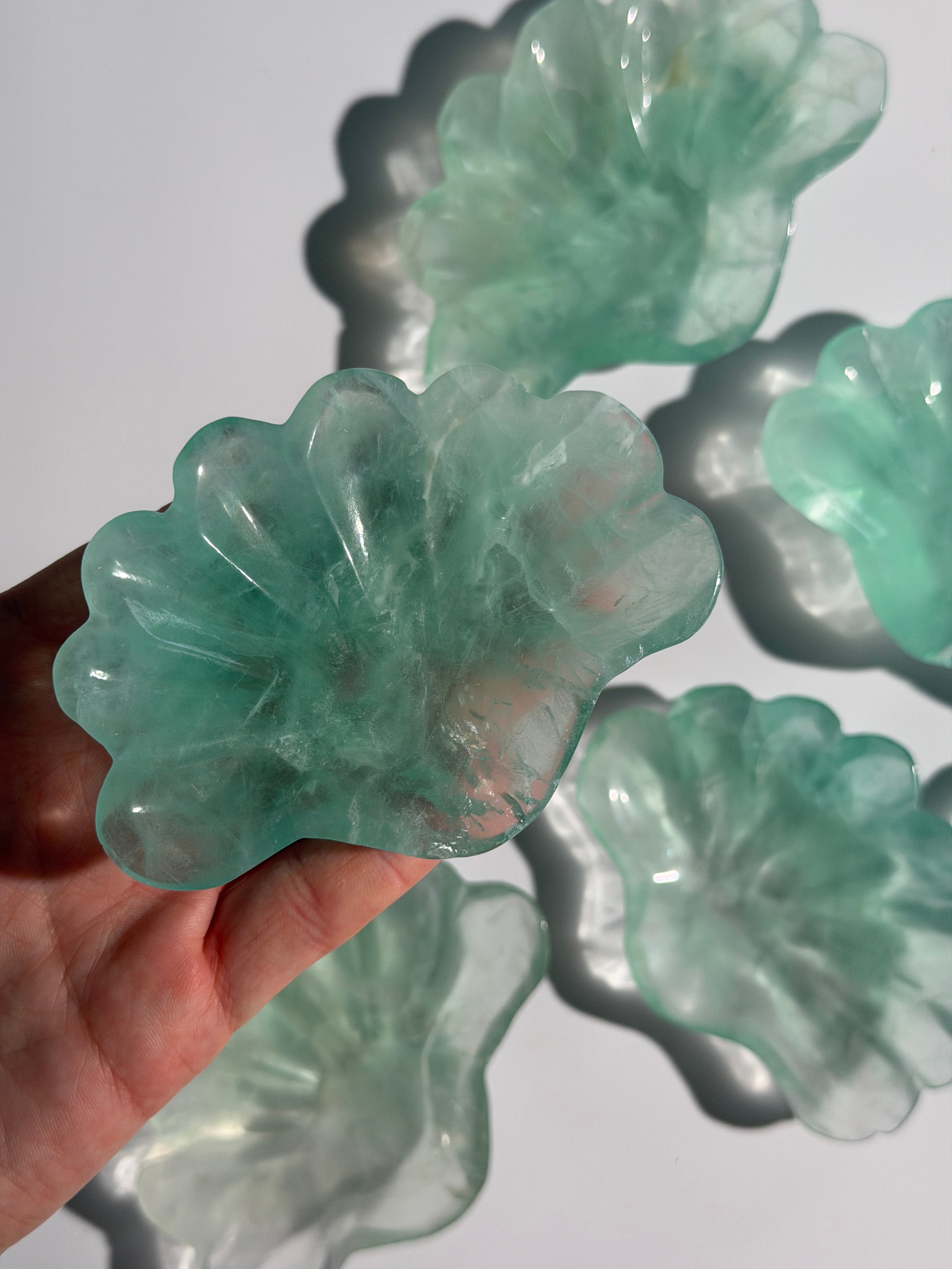 Fluorit Schale Muschel | High Quality
