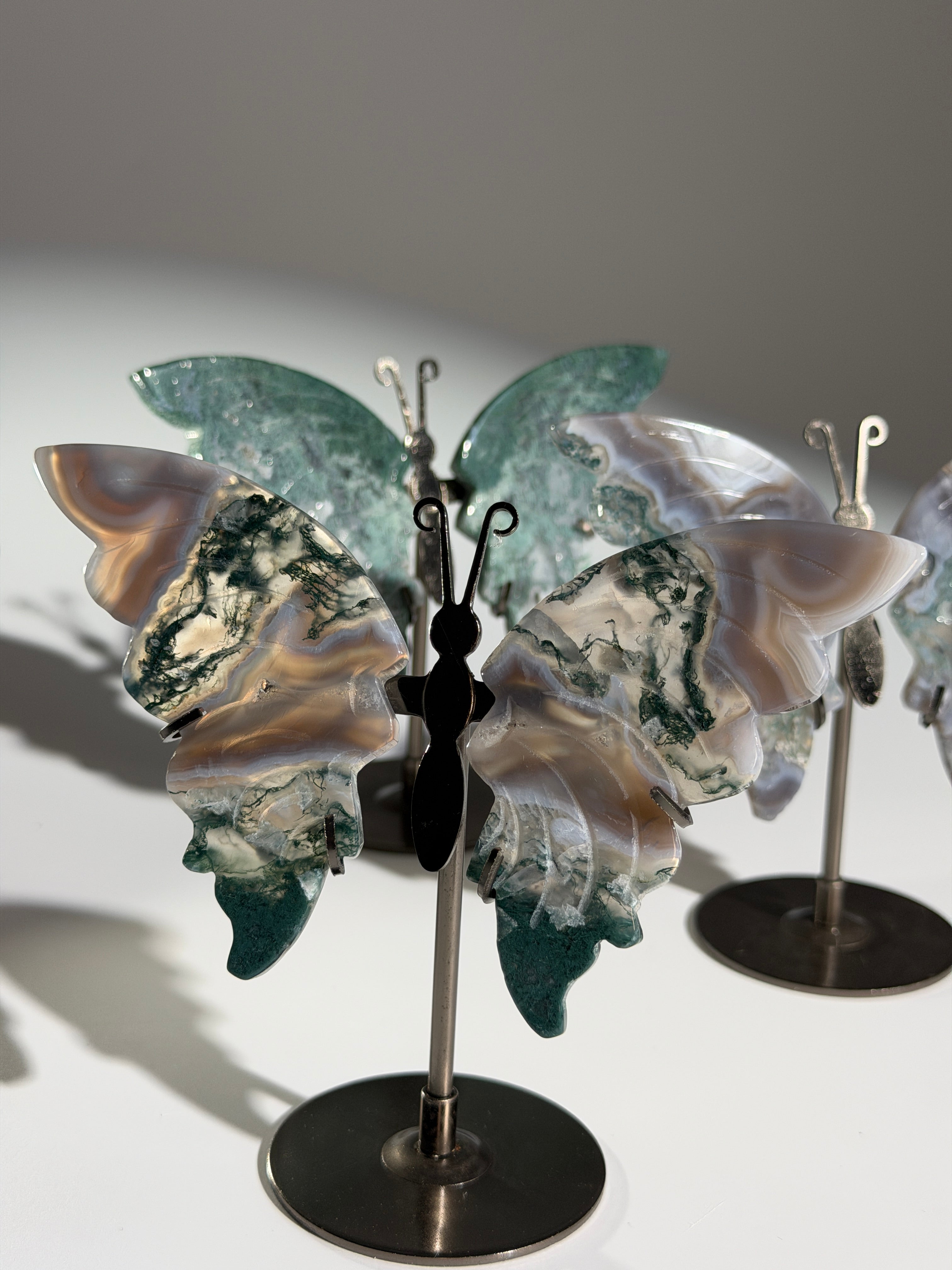 Moosachat Schmetterling SALE