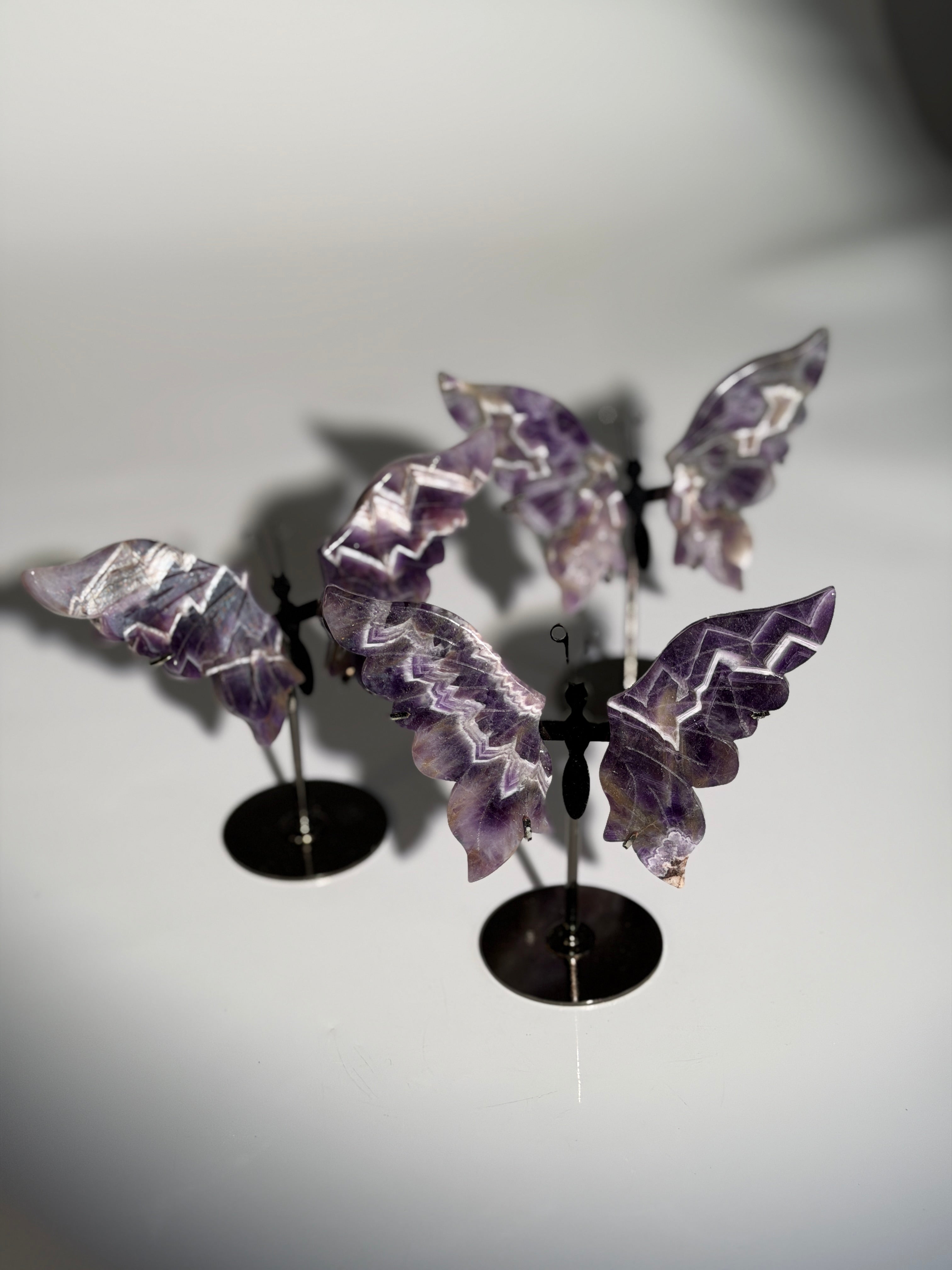 Amethyst Schmetterling