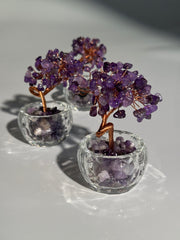 Amethyst Baum