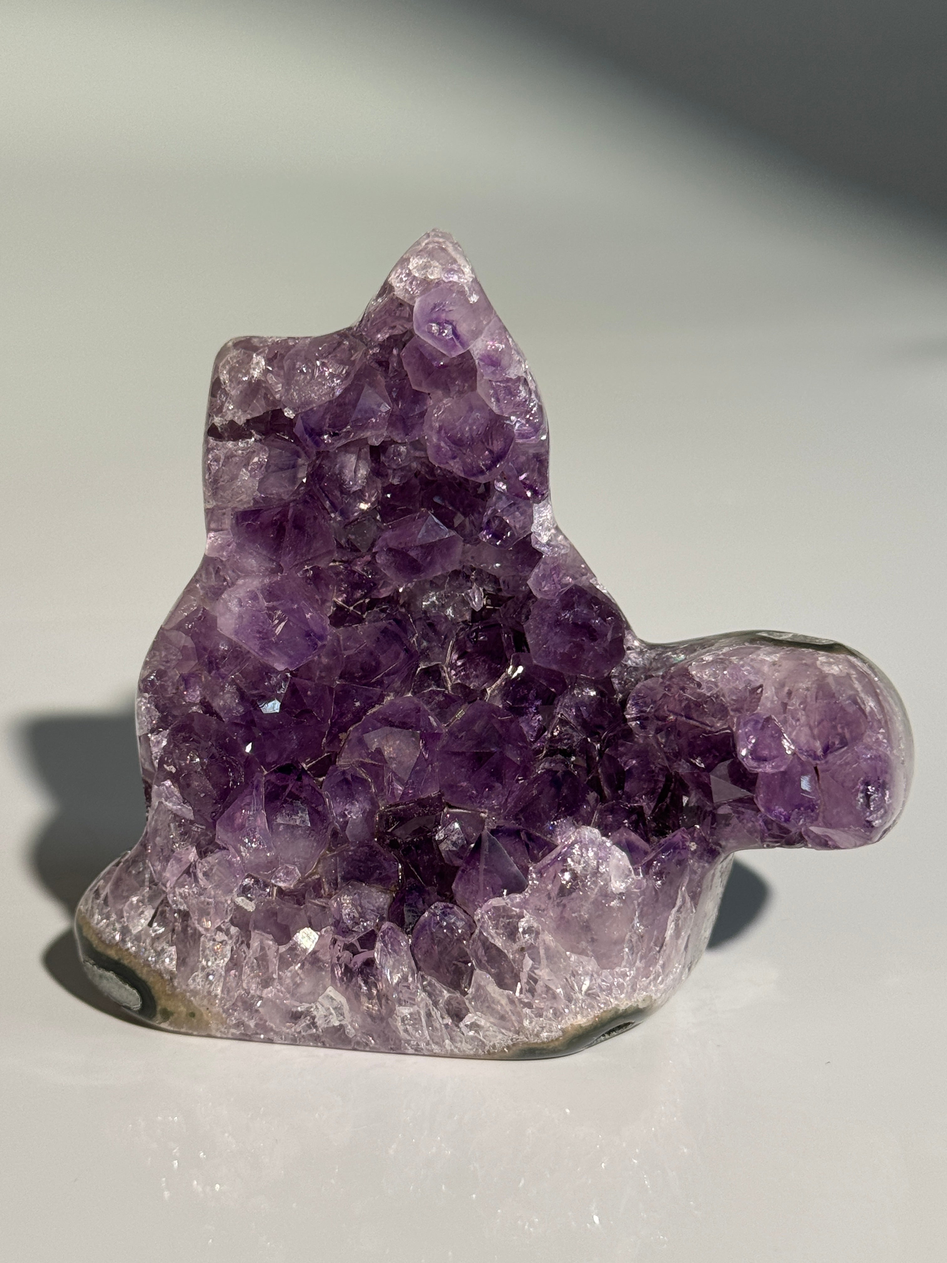 Amethyst Katze M