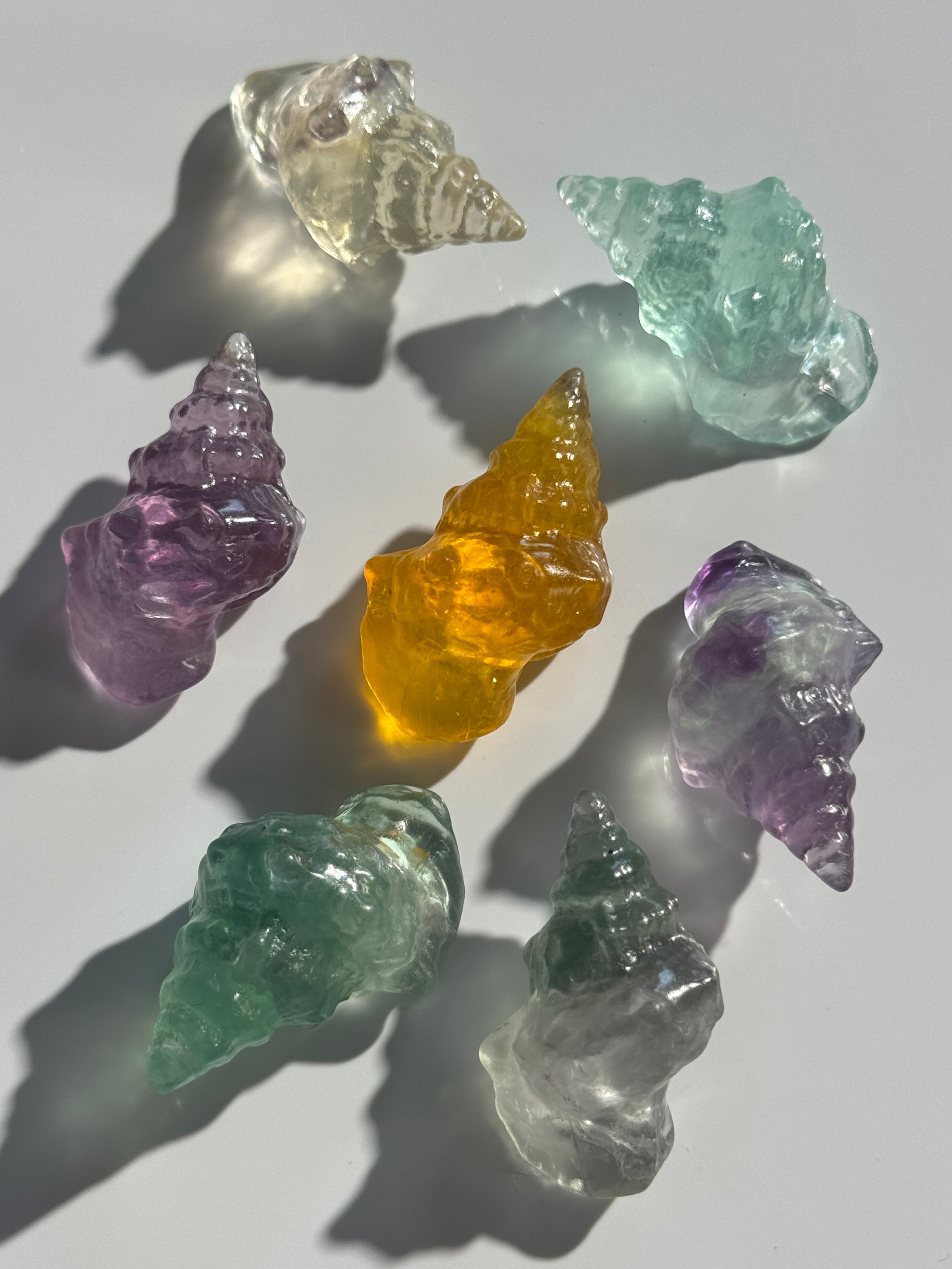 Fluorit Muschel
