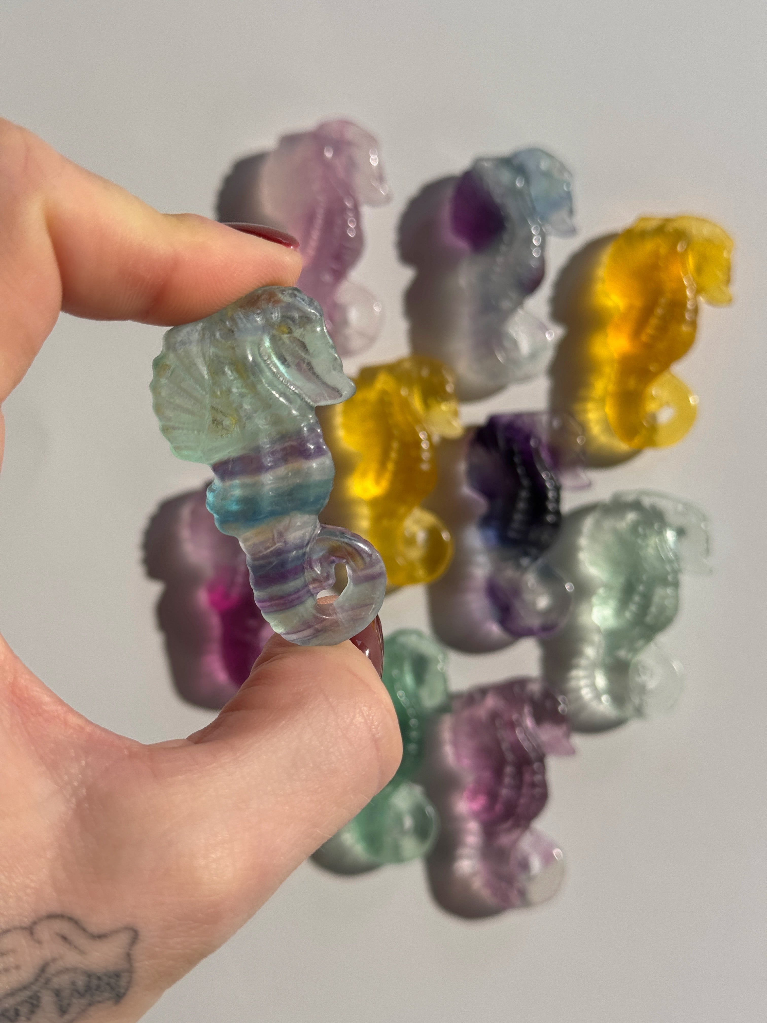 Fluorit Seepferdchen