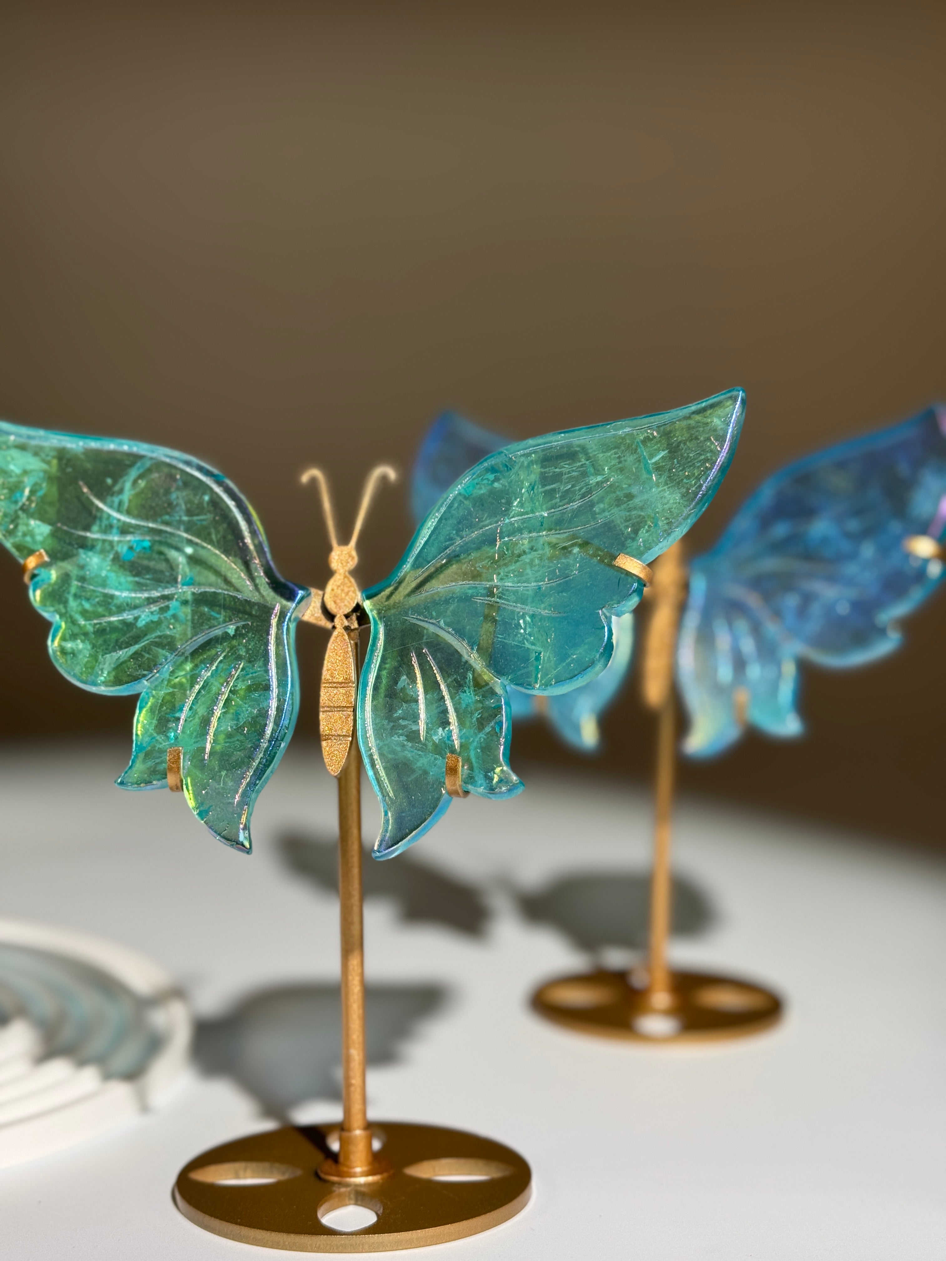 Aqua Aura Schmetterling