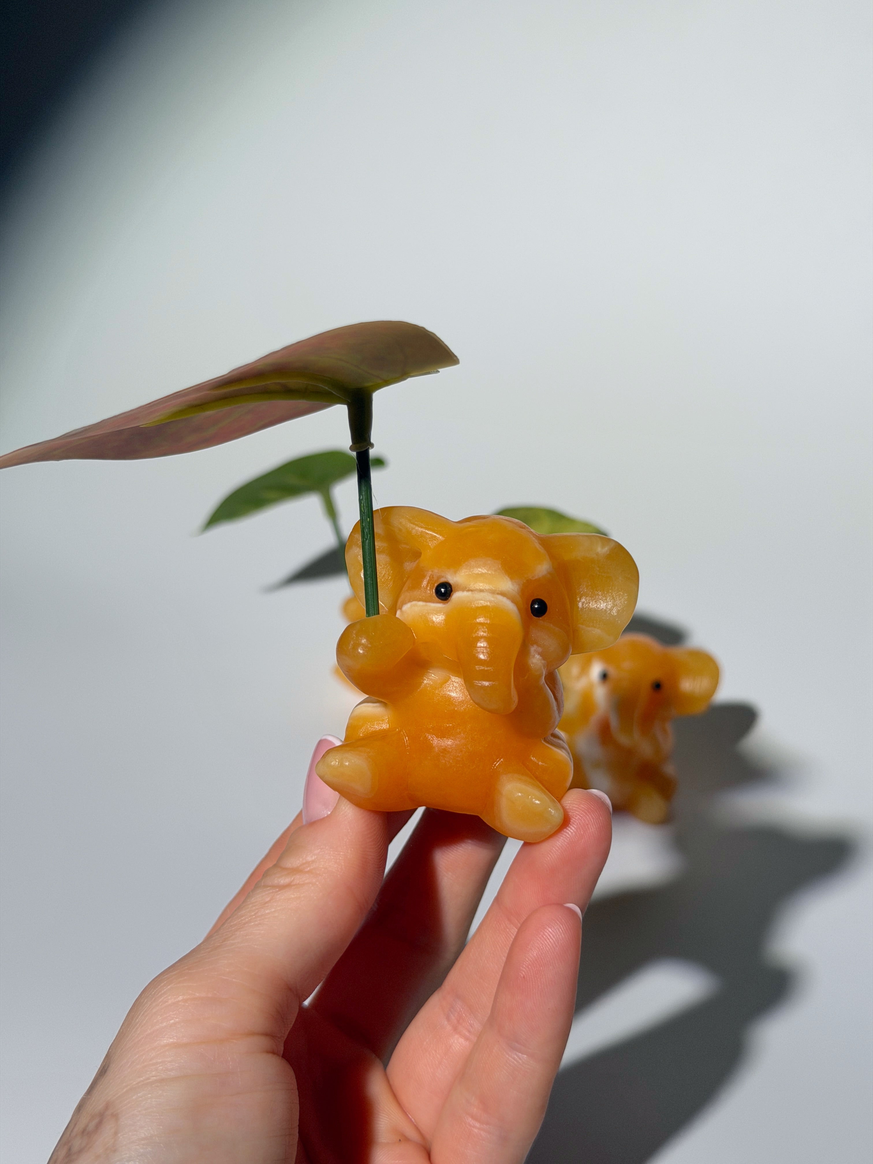 Orangen Calcit Elefant 🍊