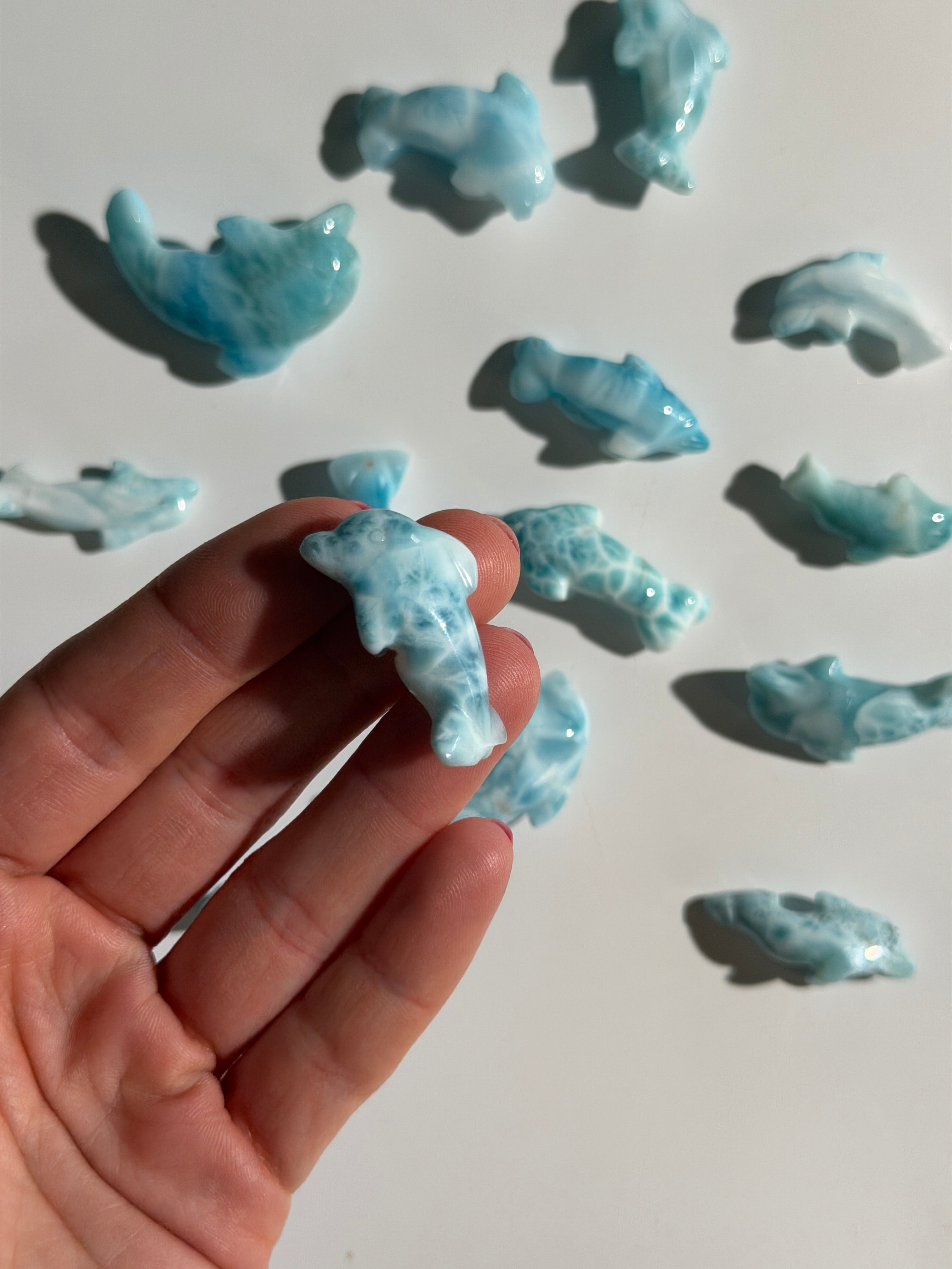 Larimar Delfin | High Quality