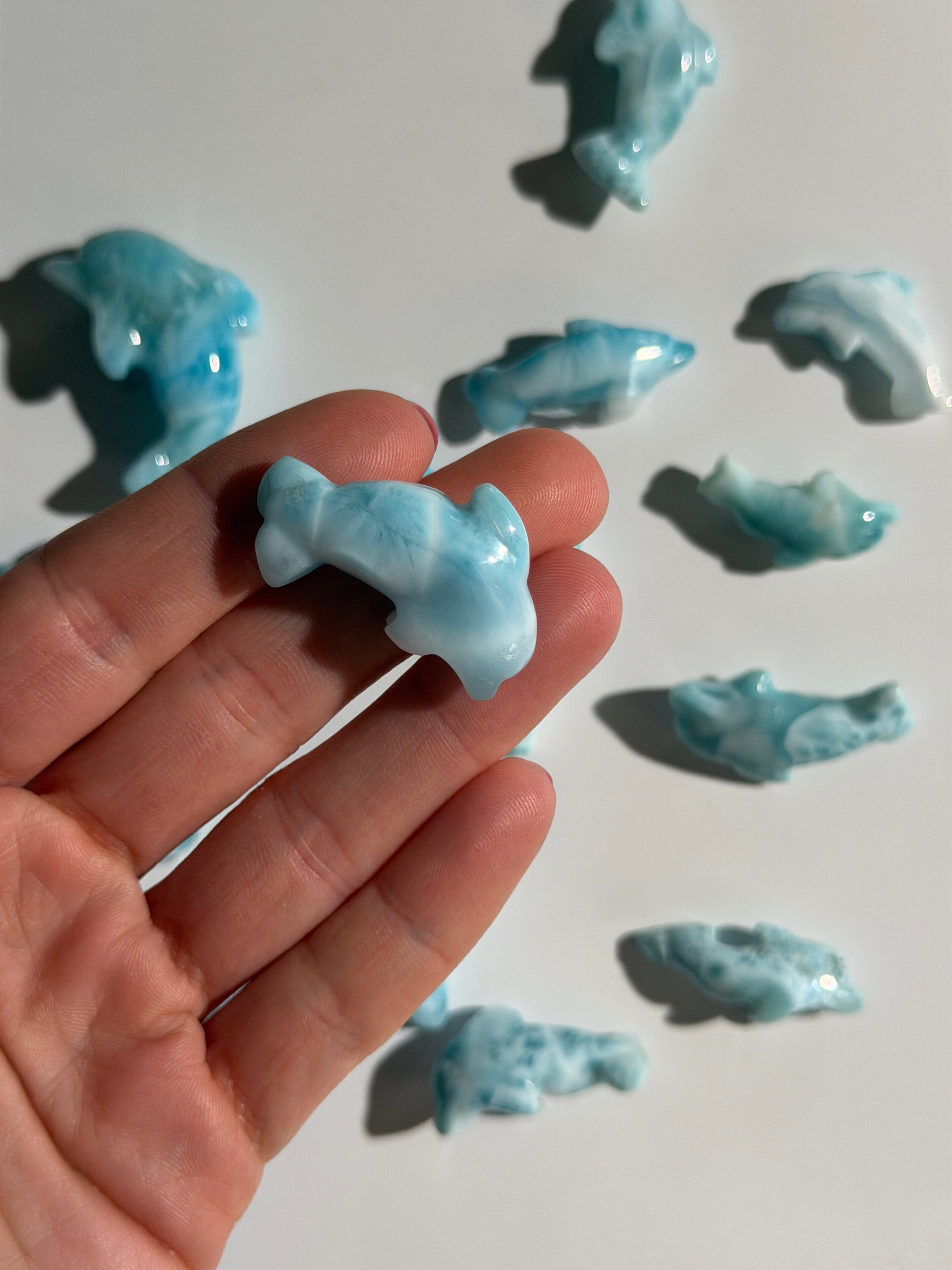 Larimar Delfin | High Quality