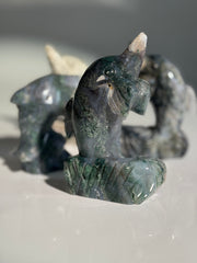 Moosachat Delfin