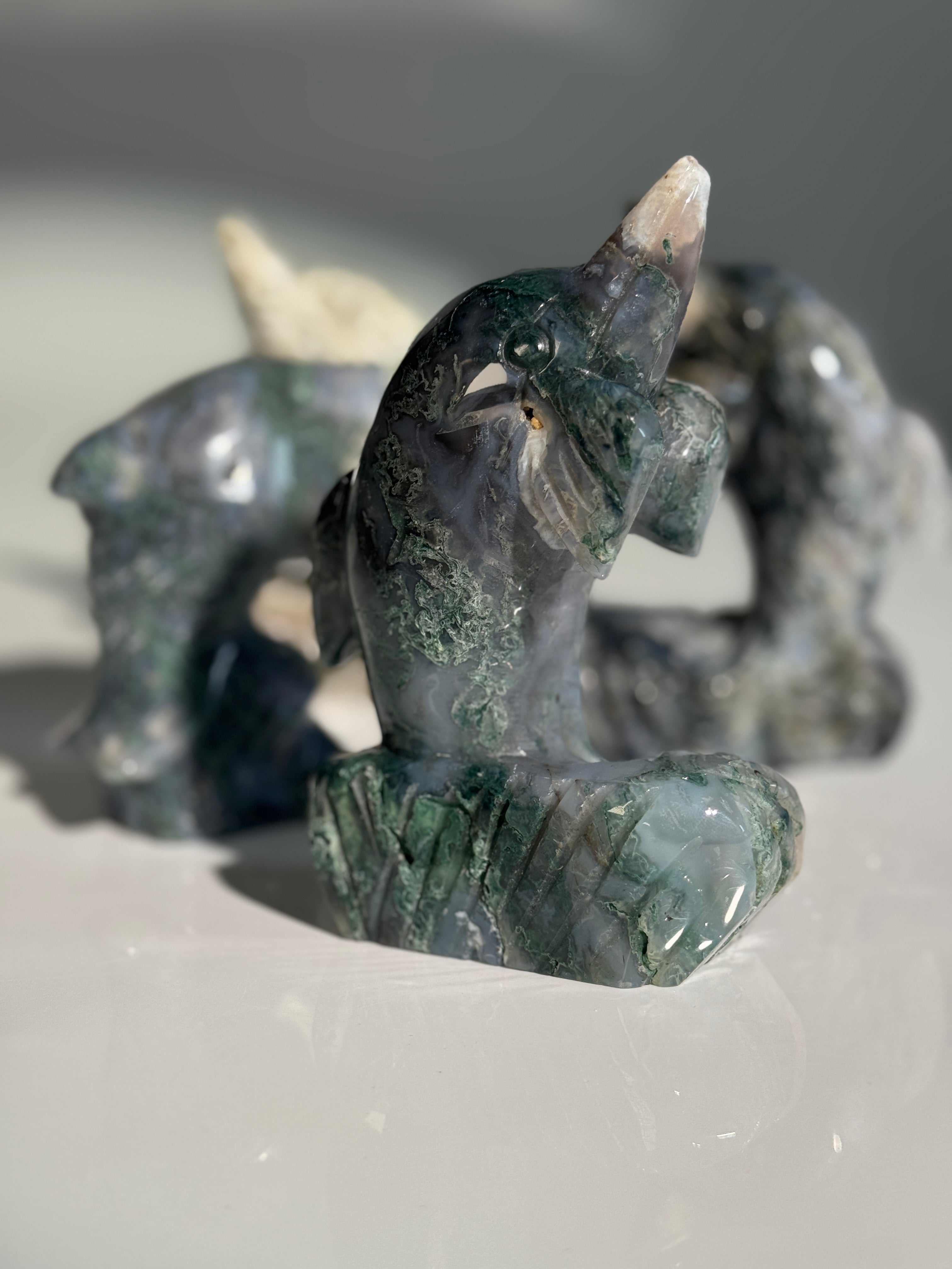 Moosachat Delfin