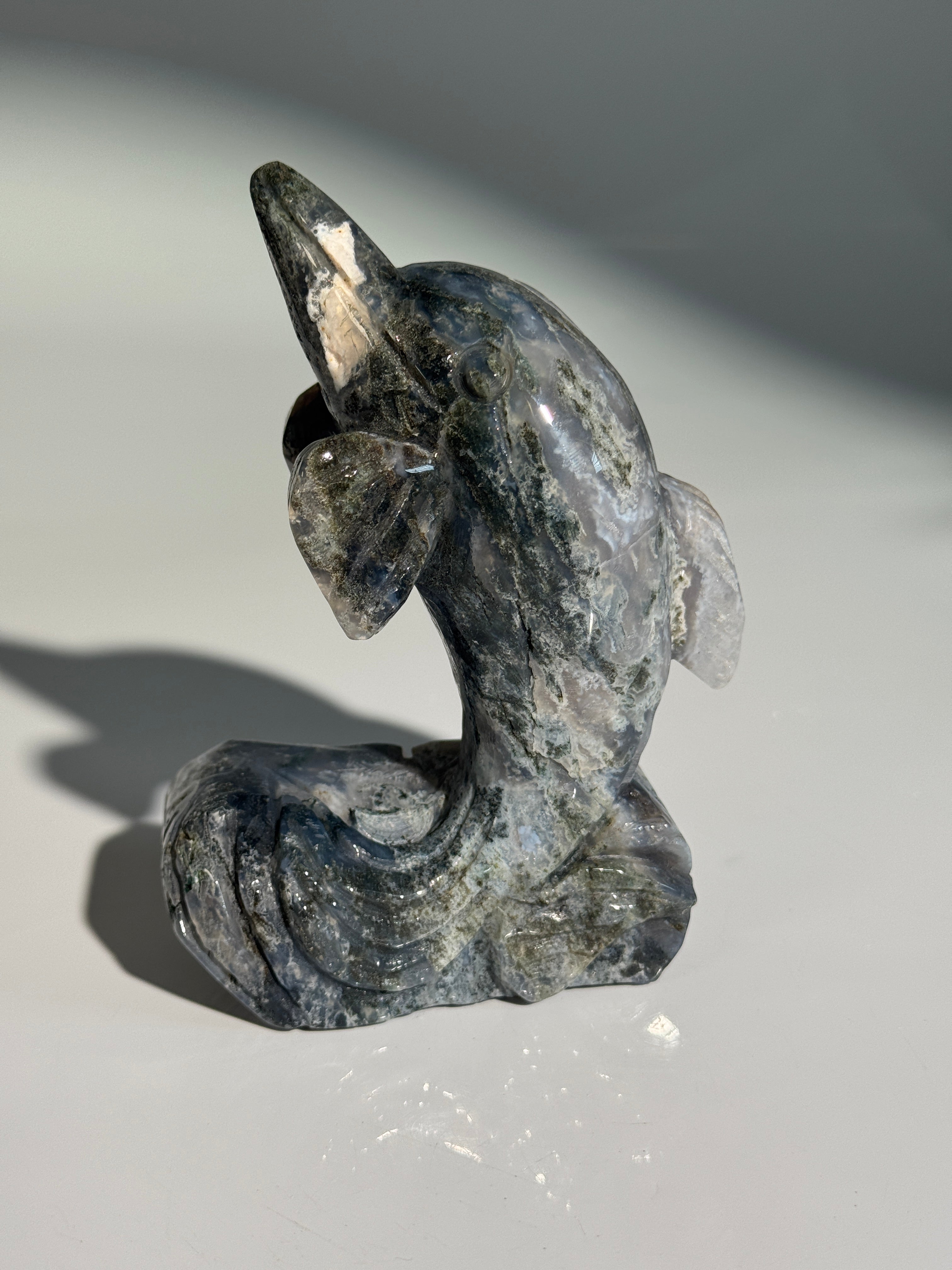 Moosachat Delfin