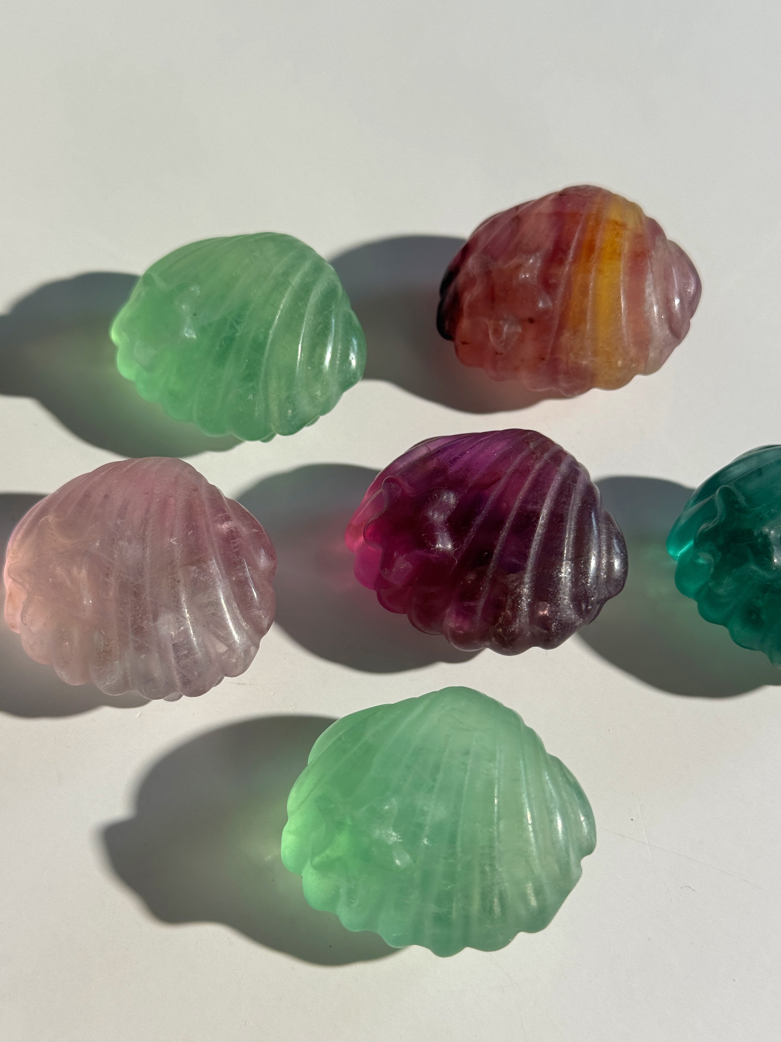 Fluorit Muschel mit Seestern