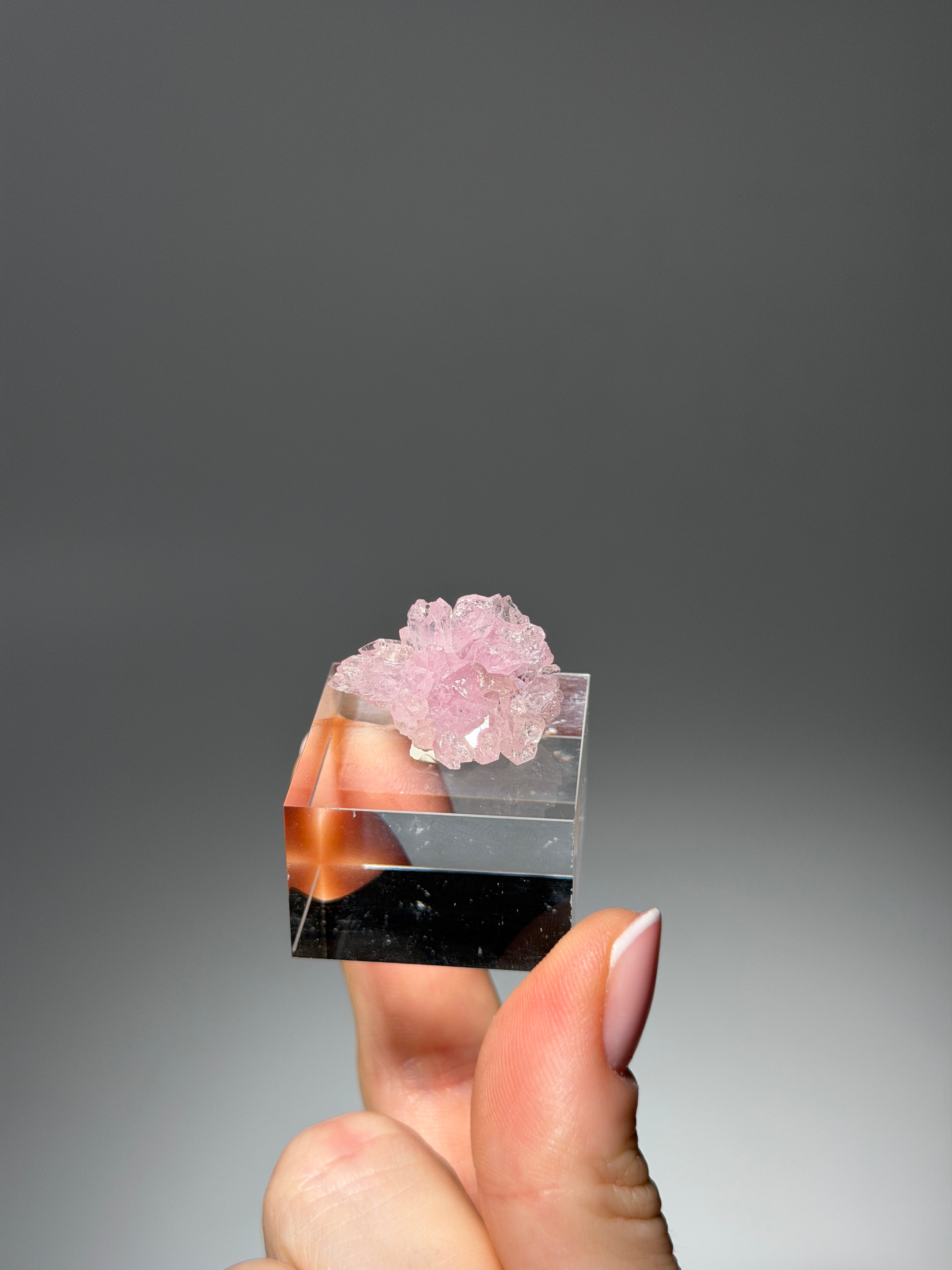 Kristallisierter Rosenquarz Specimen | Rare