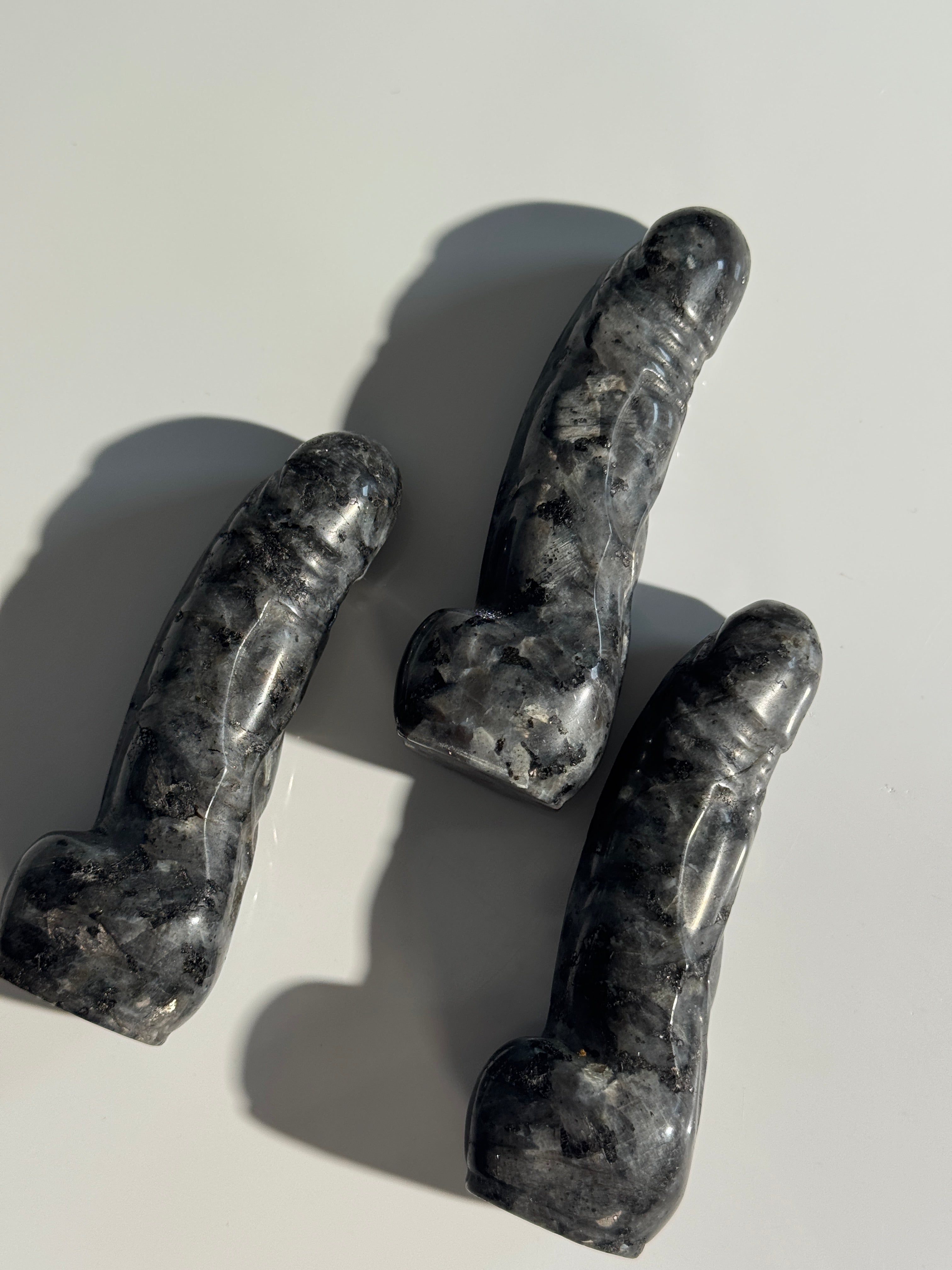 Larvikit Phallus