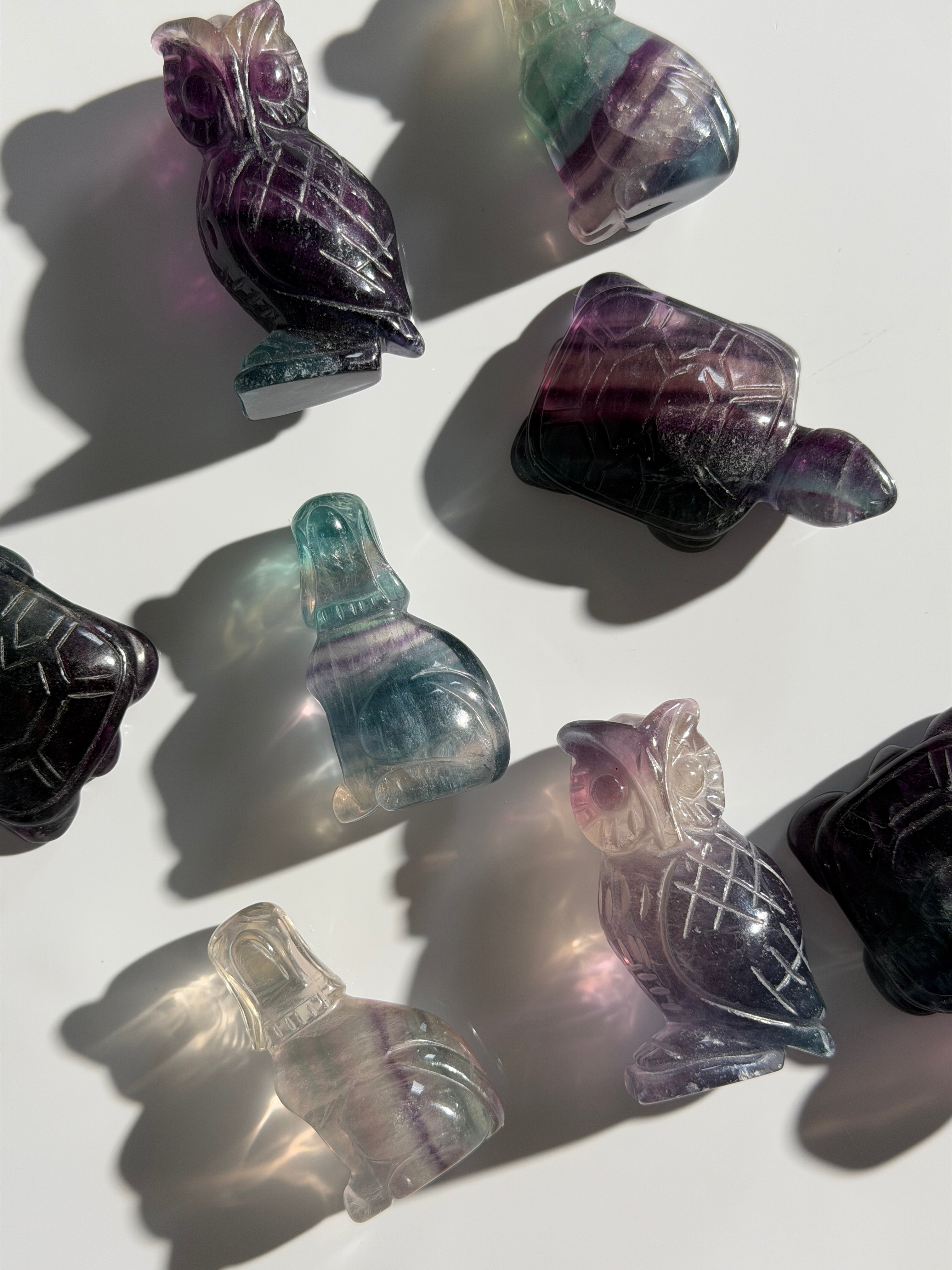 Fluorit Animal Mystery