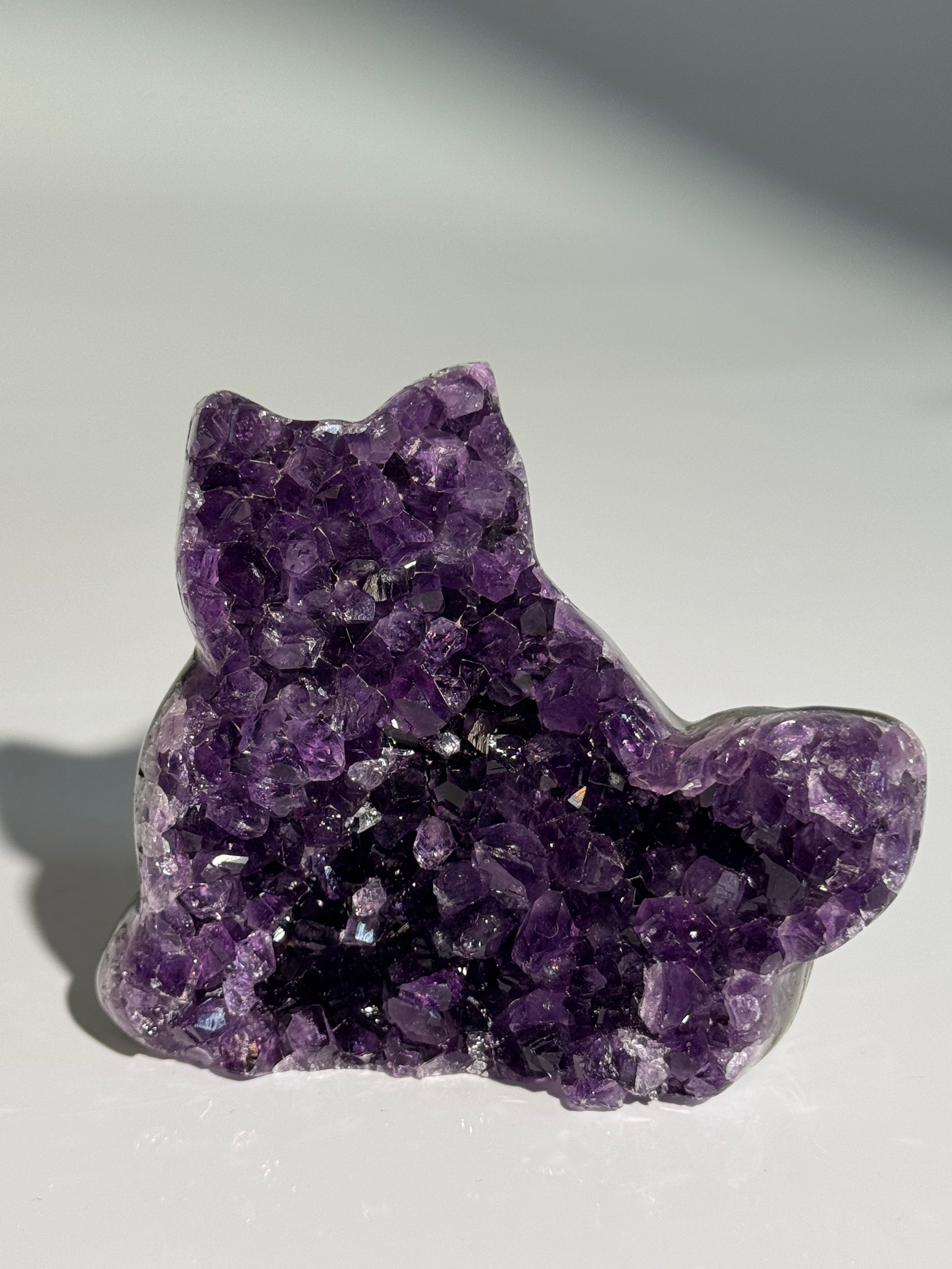Amethyst Katze M