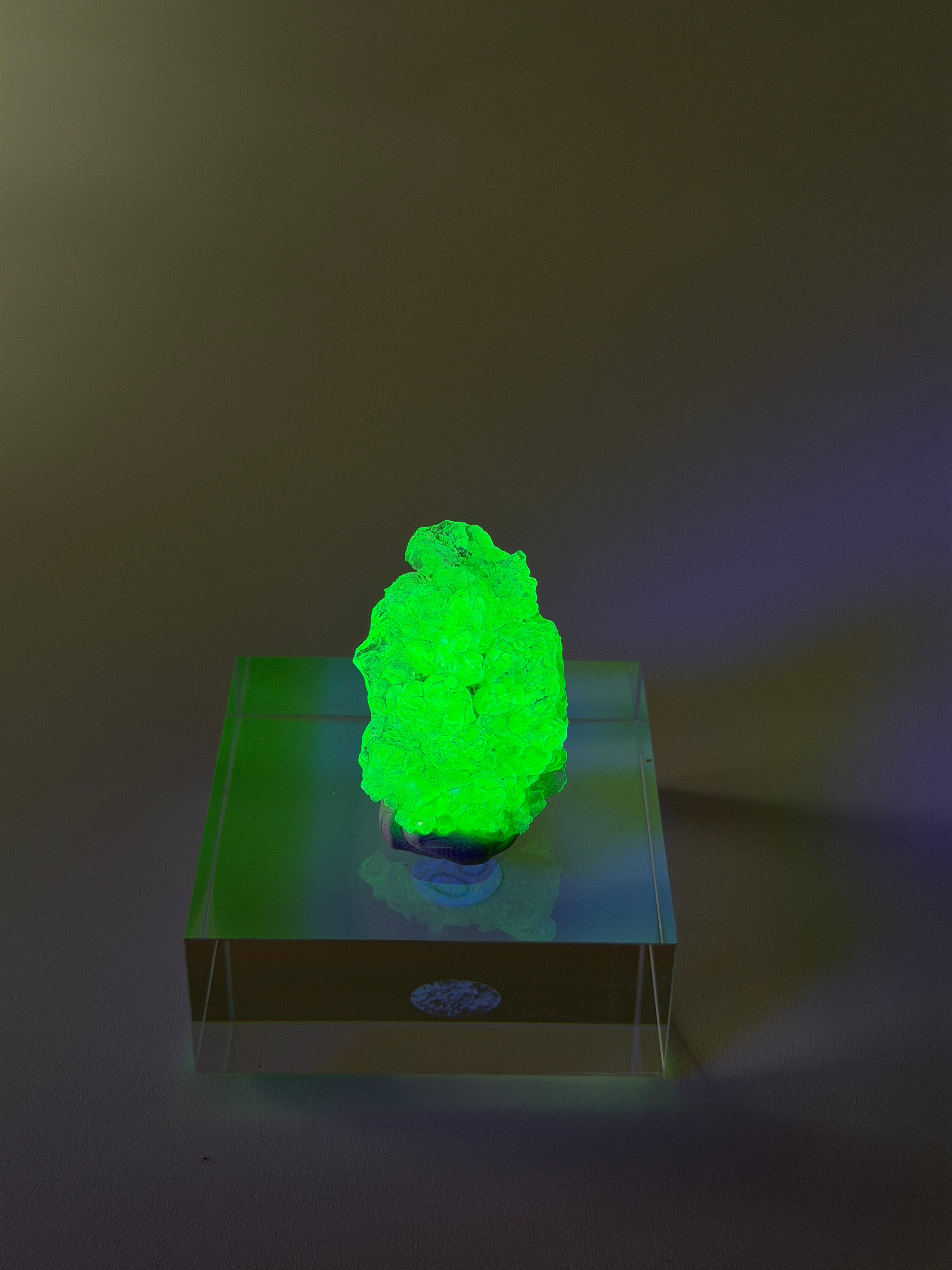 Hyalit Opal | starke UV-Reaktion | Large
