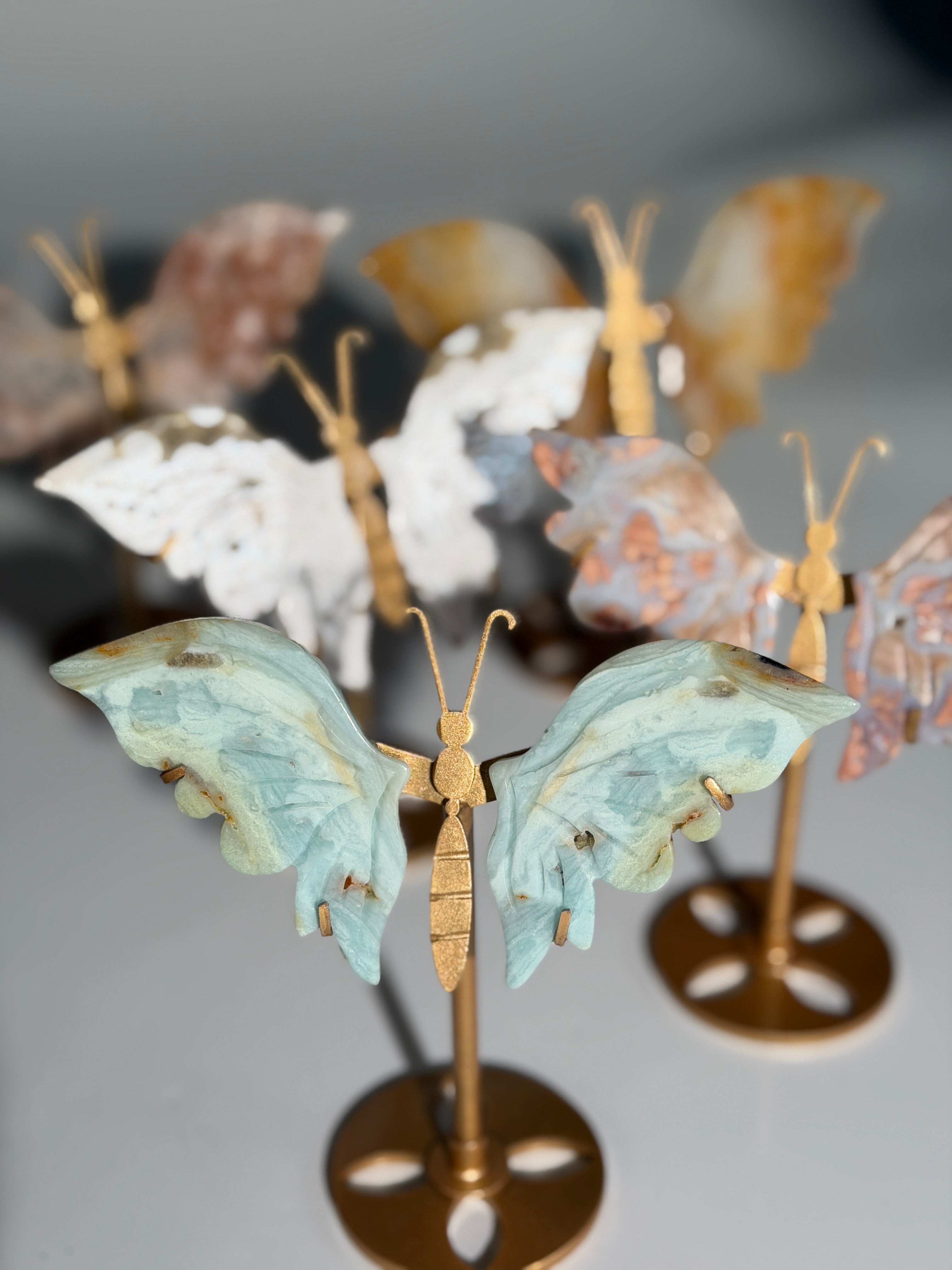 Mystery Schmetterling