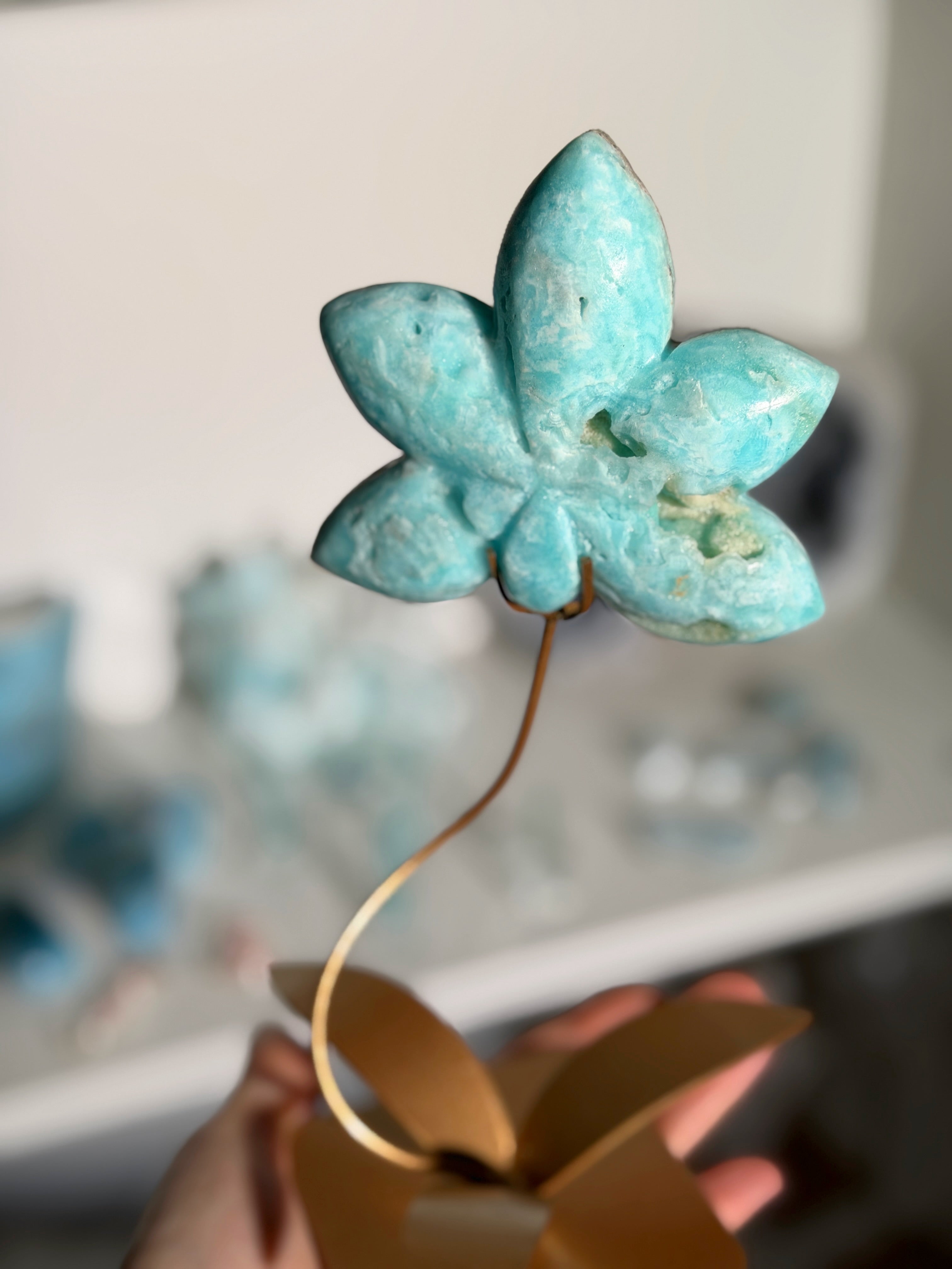 Karibik Calcit Lotusblüte auf goldener Halterung