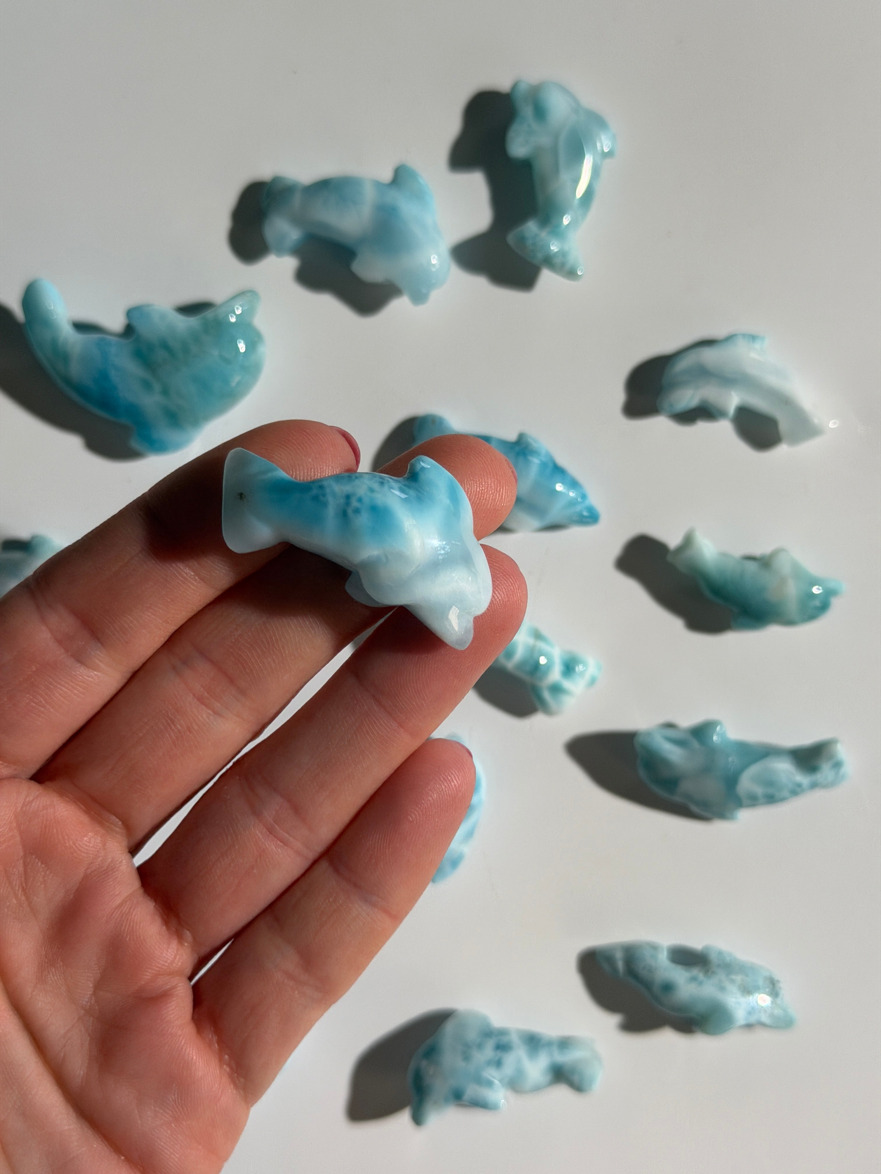 Larimar Delfin | High Quality