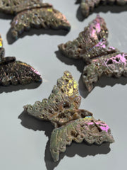 Druzy Sphalerit Schmetterling Angel Aura