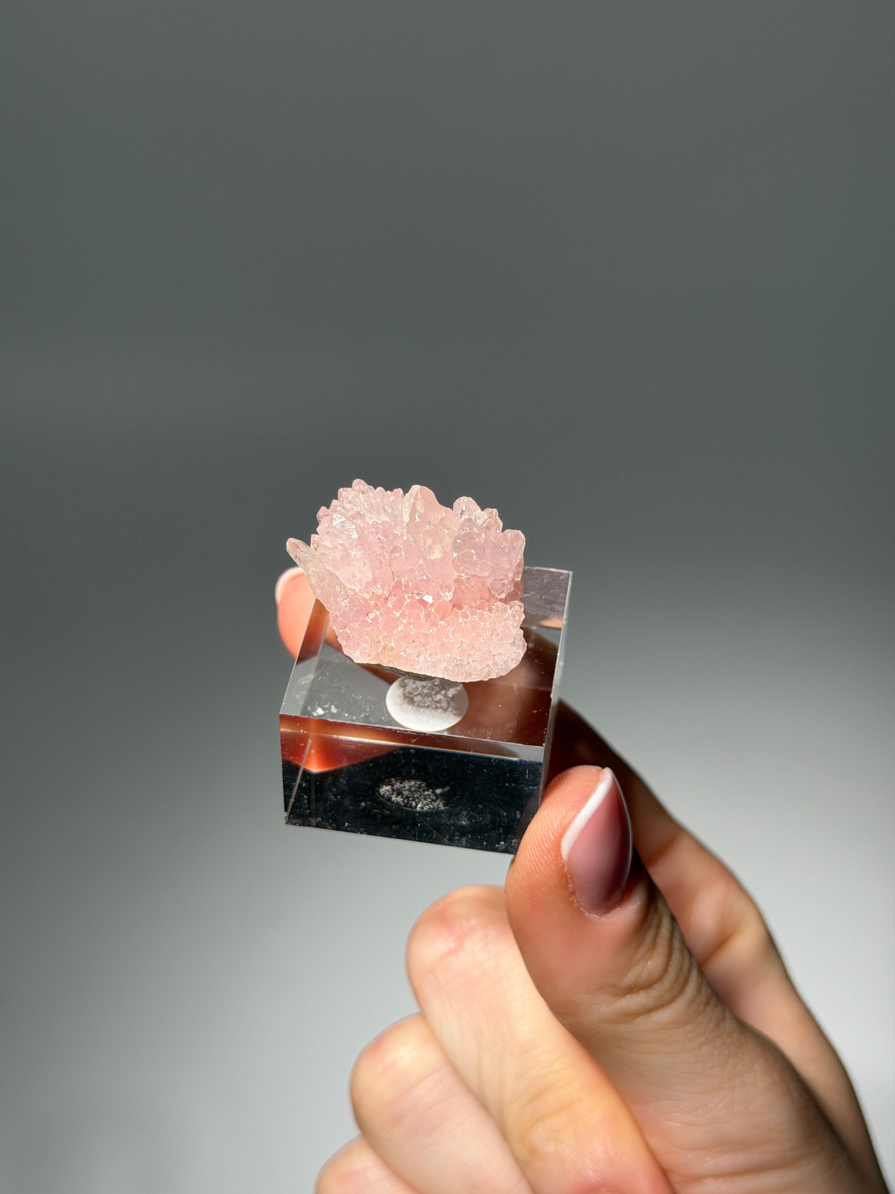 Kristallisierter Rosenquarz Specimen | Rare