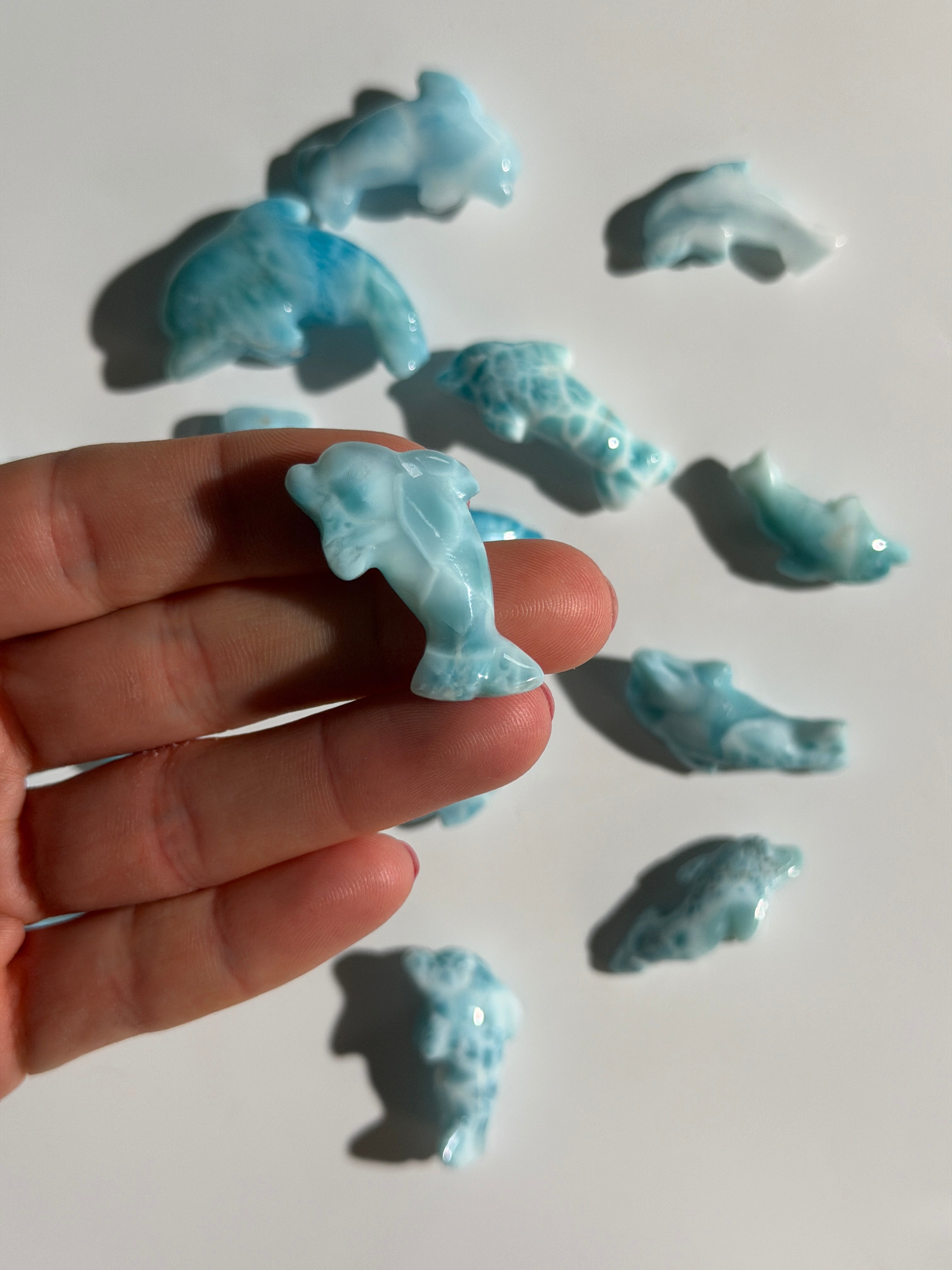 Larimar Delfin | High Quality