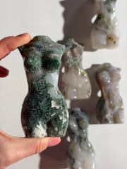 Moosachat Body