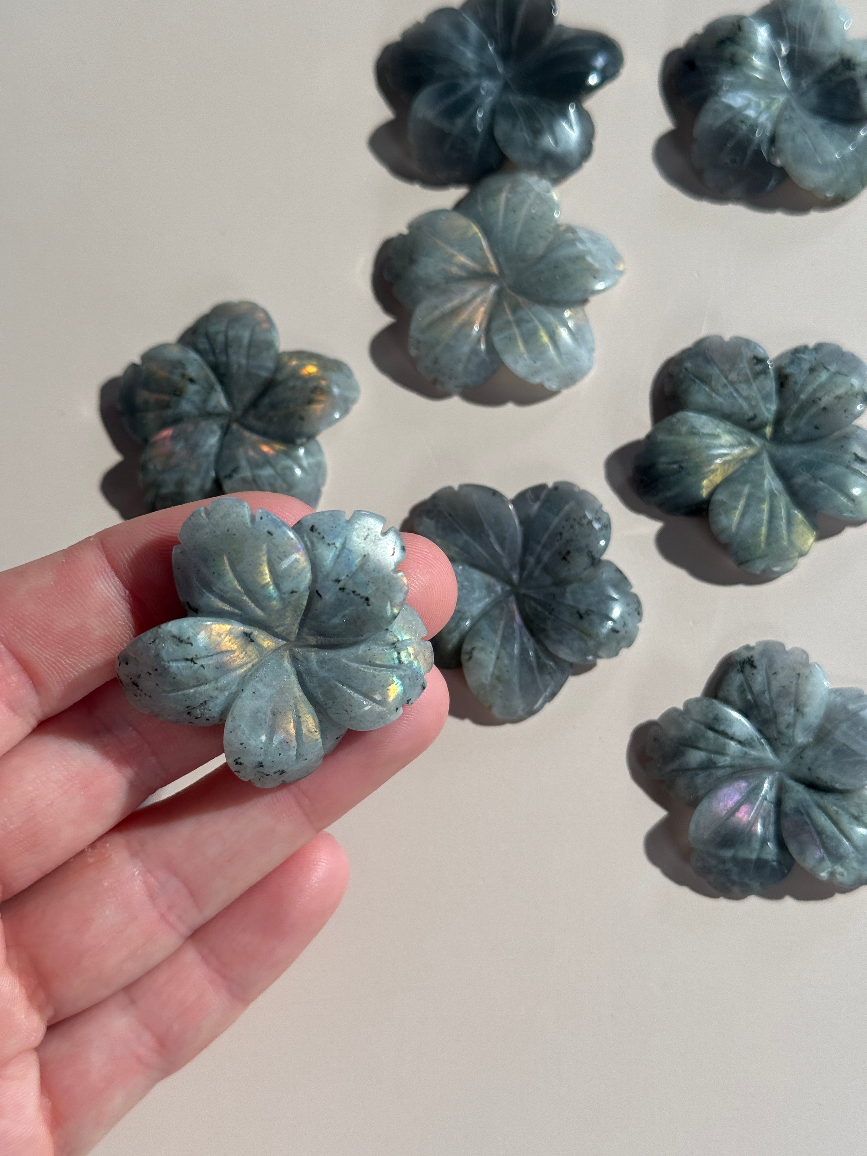 Labradorit Blume