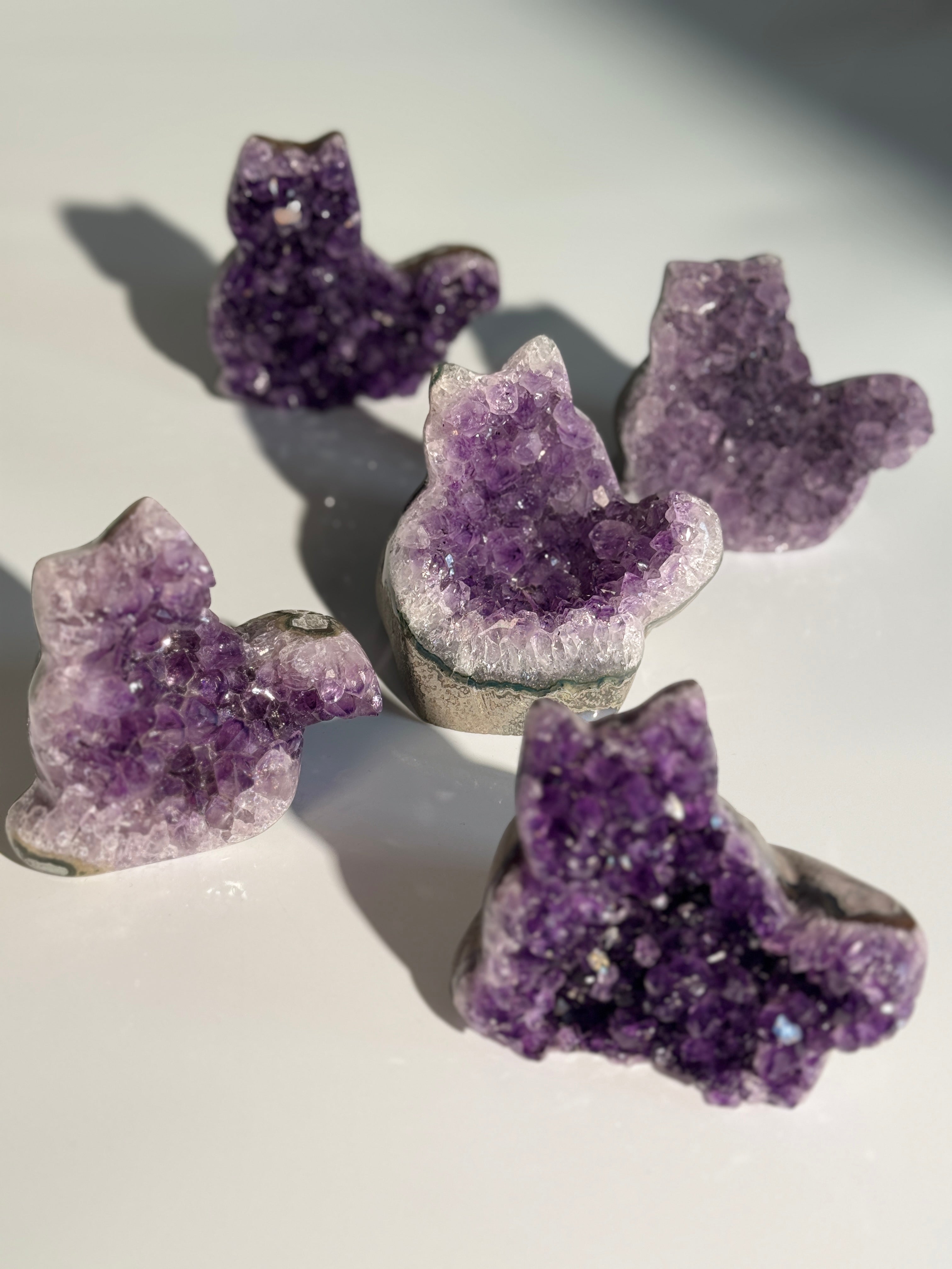 Amethyst Katze M