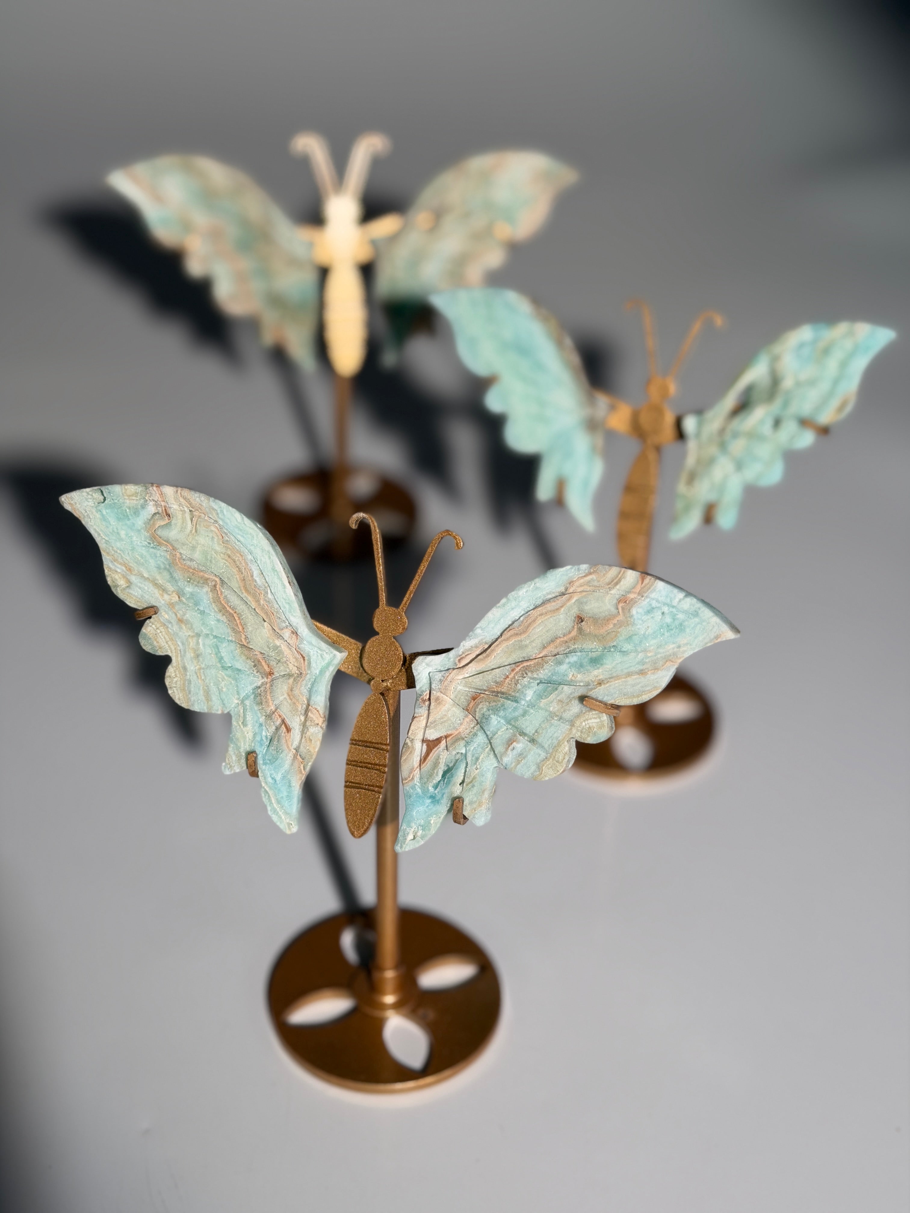 Karibischer Calcit Schmetterling