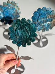 Apatit Sonnenblume