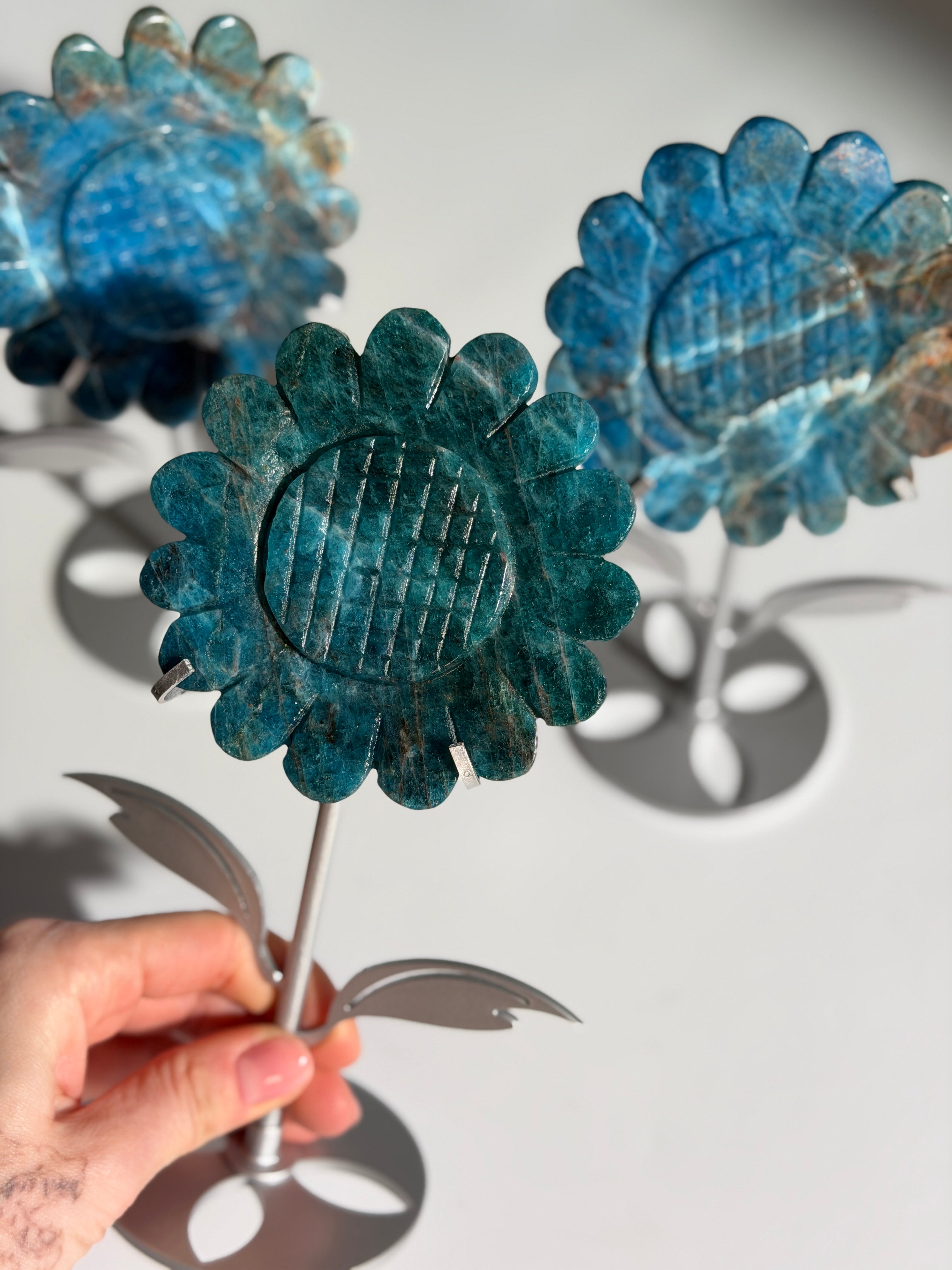 Apatit Sonnenblume