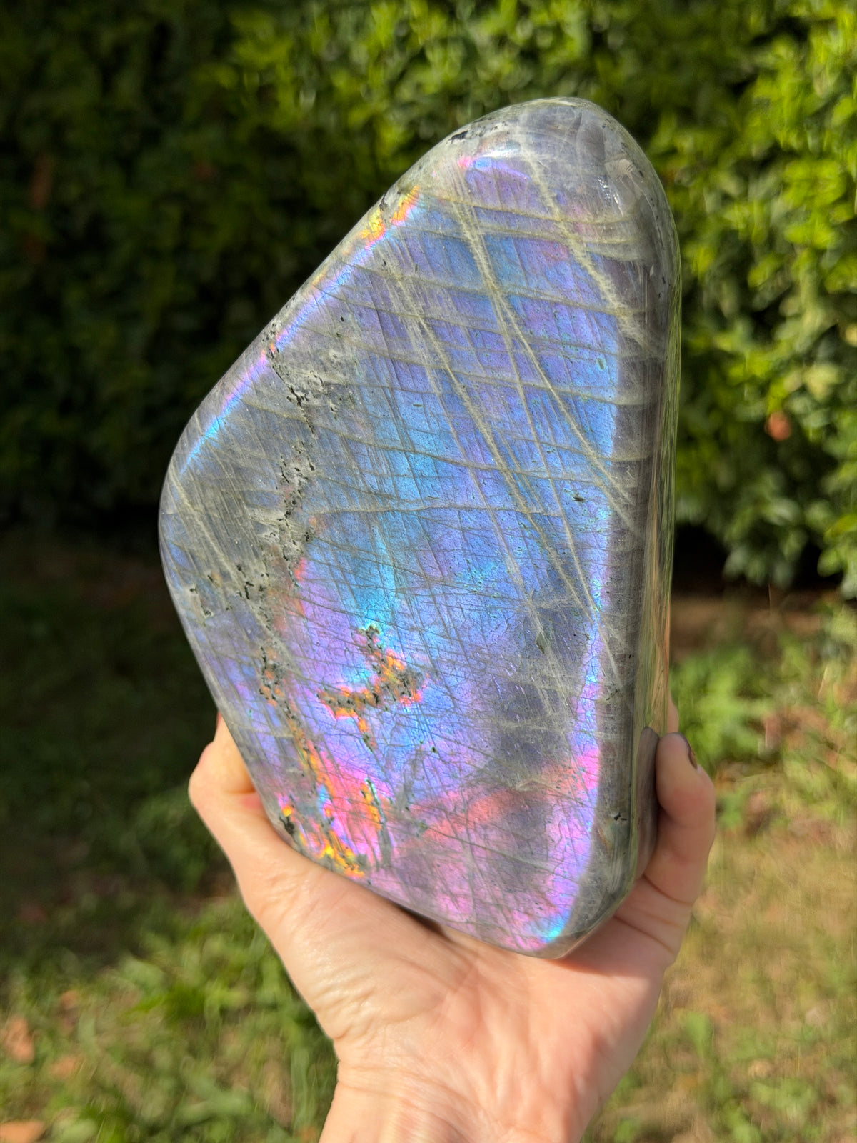 Aurora Labradorit Freeform | Top Quality