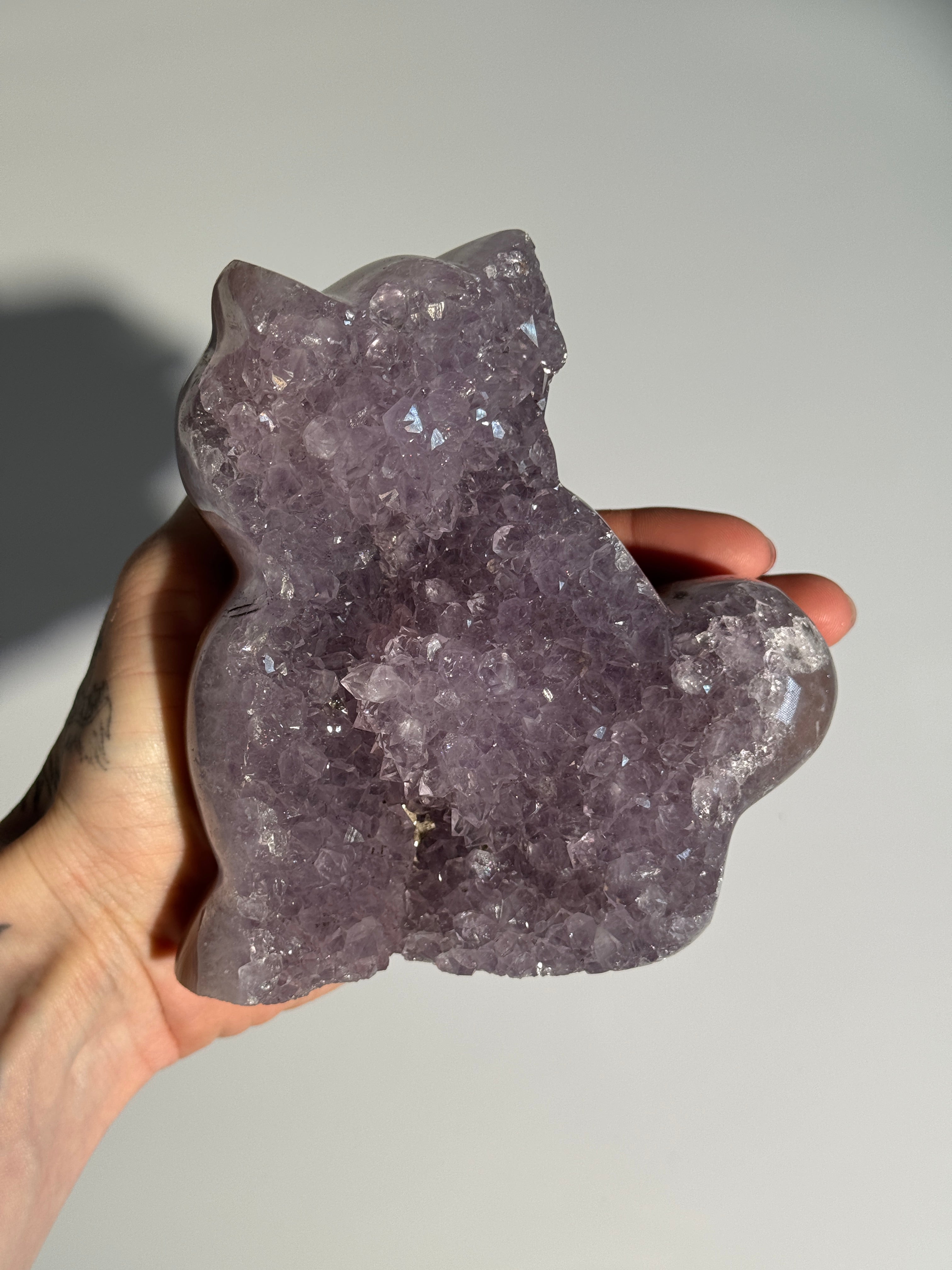 Lavendel Amethyst Katze