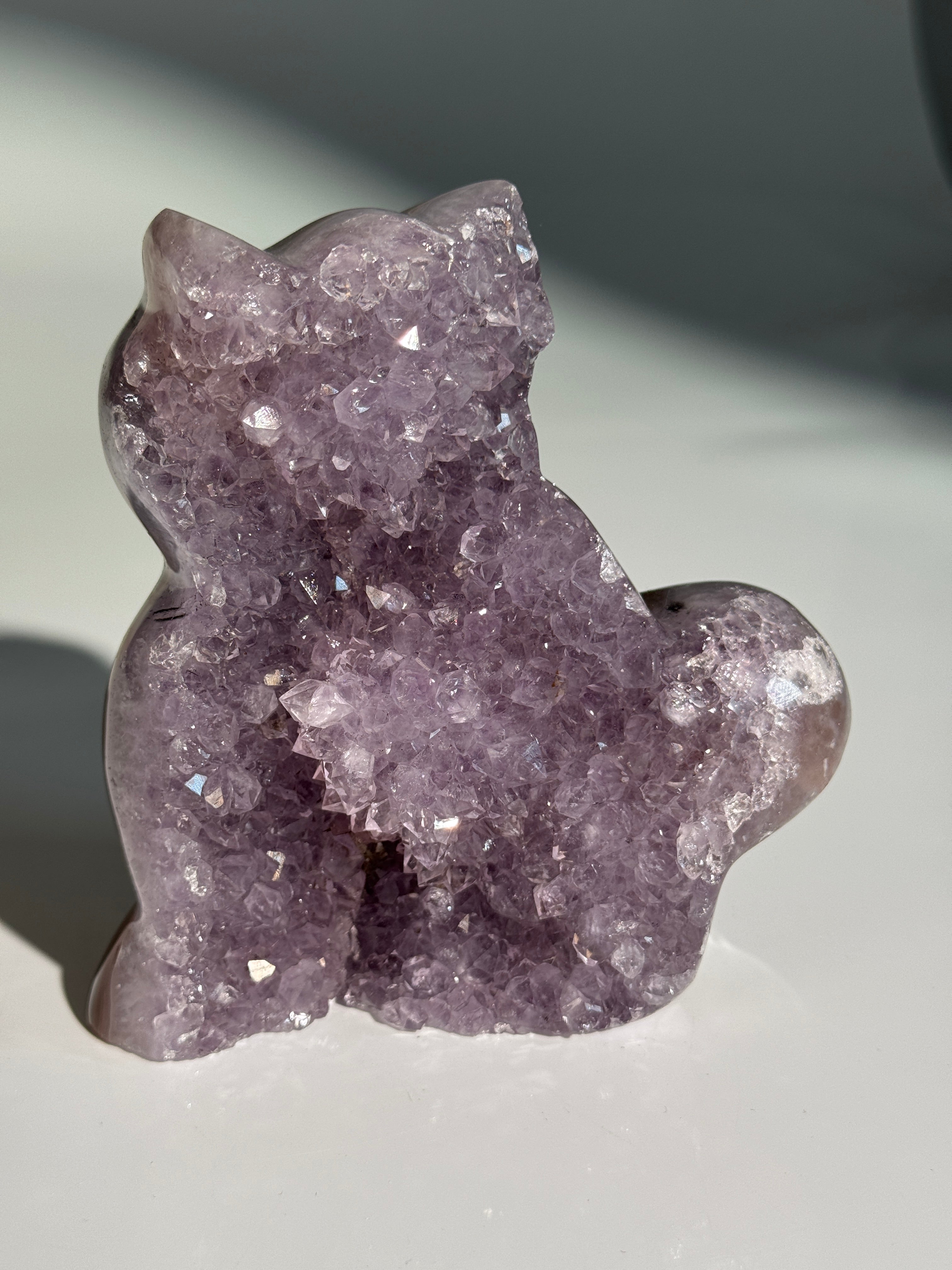 Lavendel Amethyst Katze