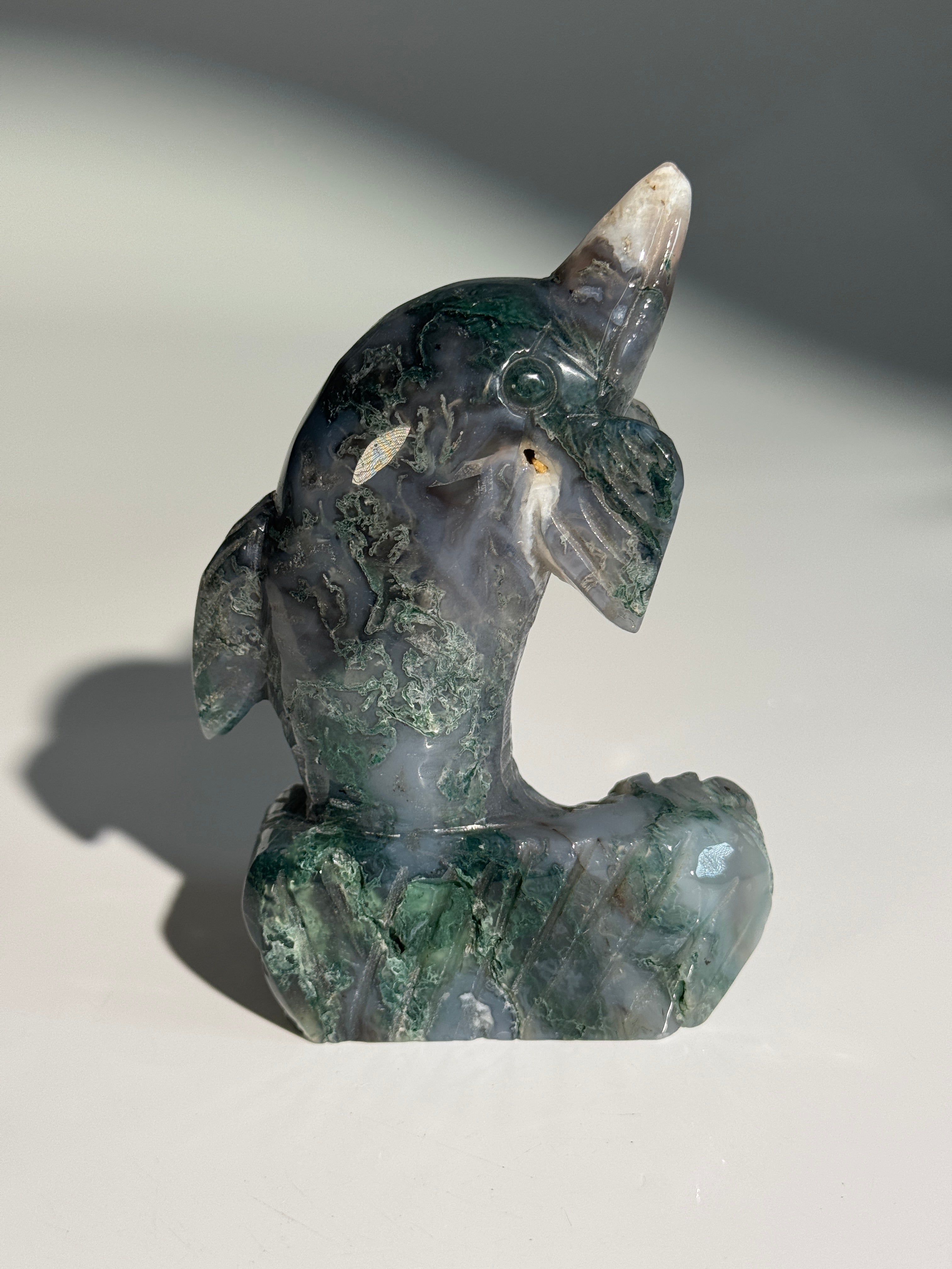 Moosachat Delfin