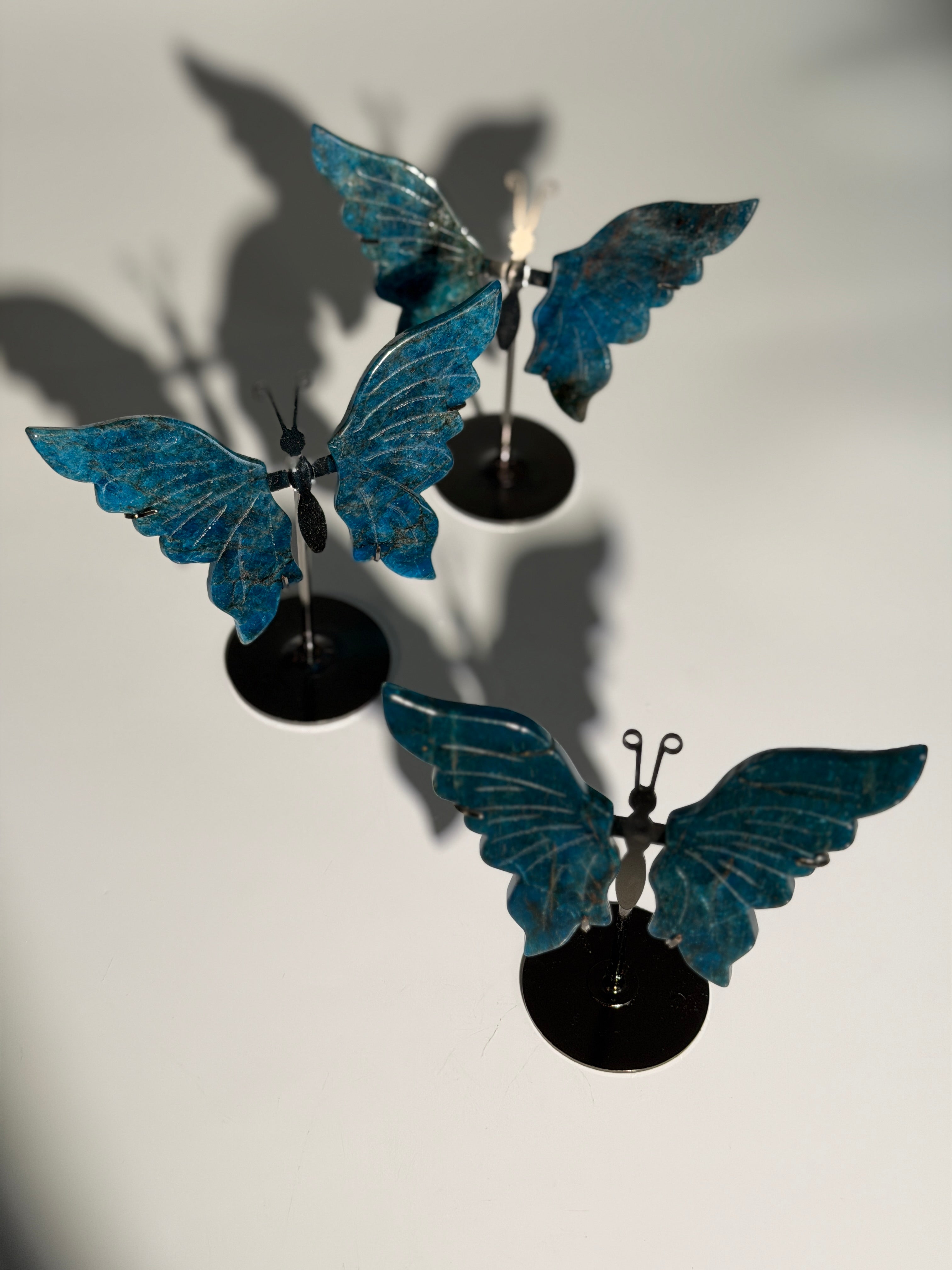 Apatit Schmetterling