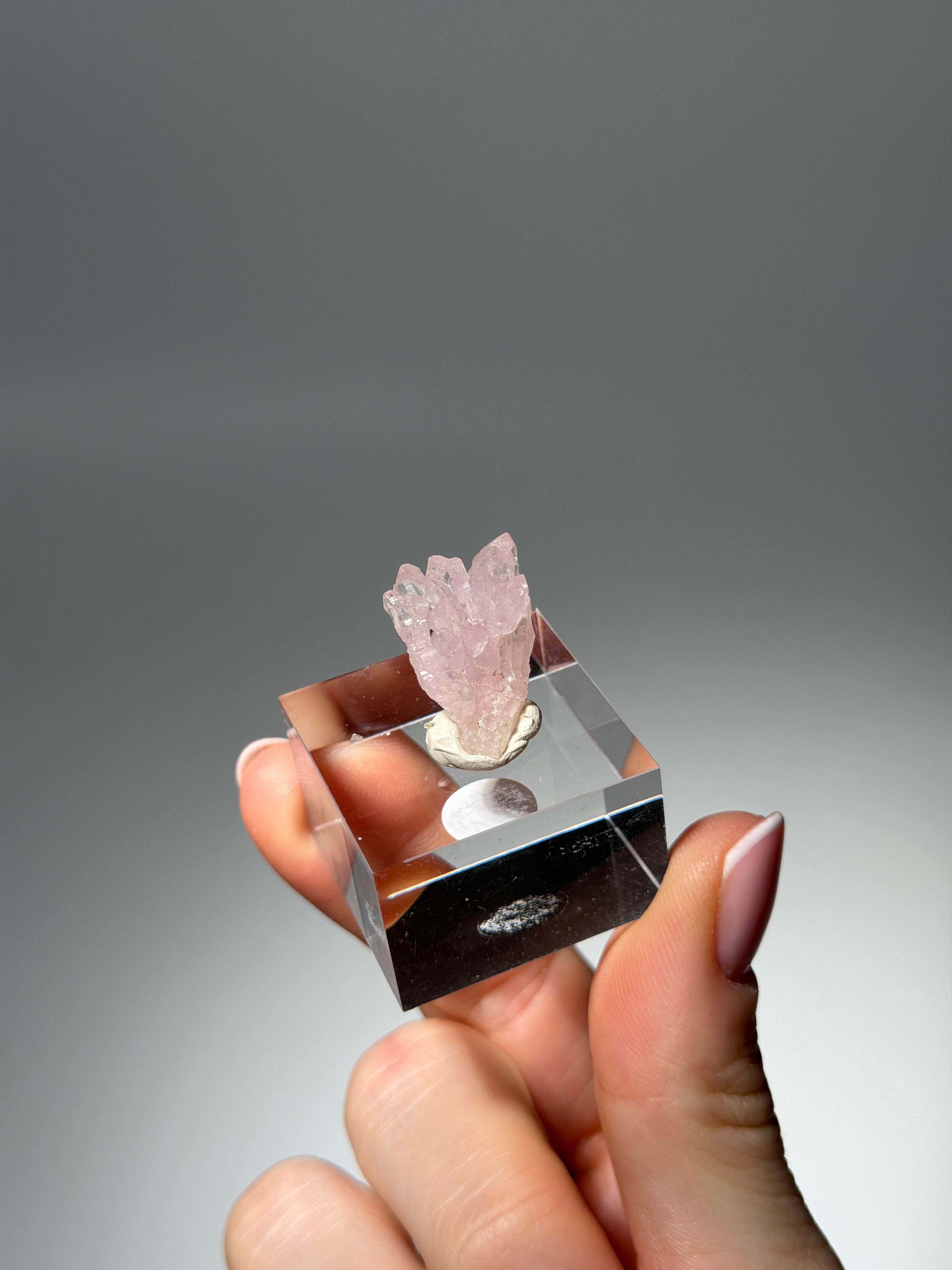 Kristallisierter Rosenquarz Specimen | Rare