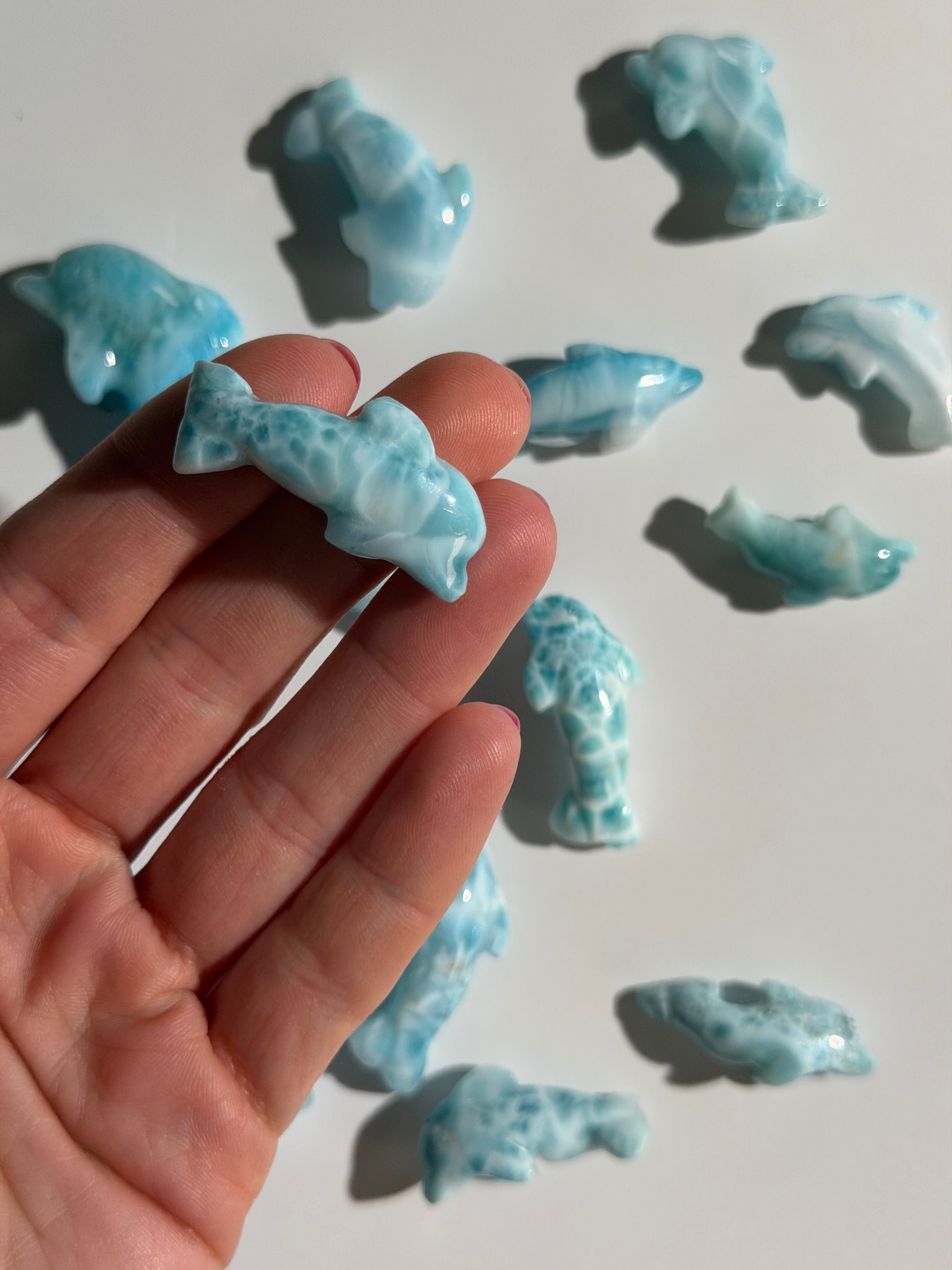 Larimar Delfin | High Quality