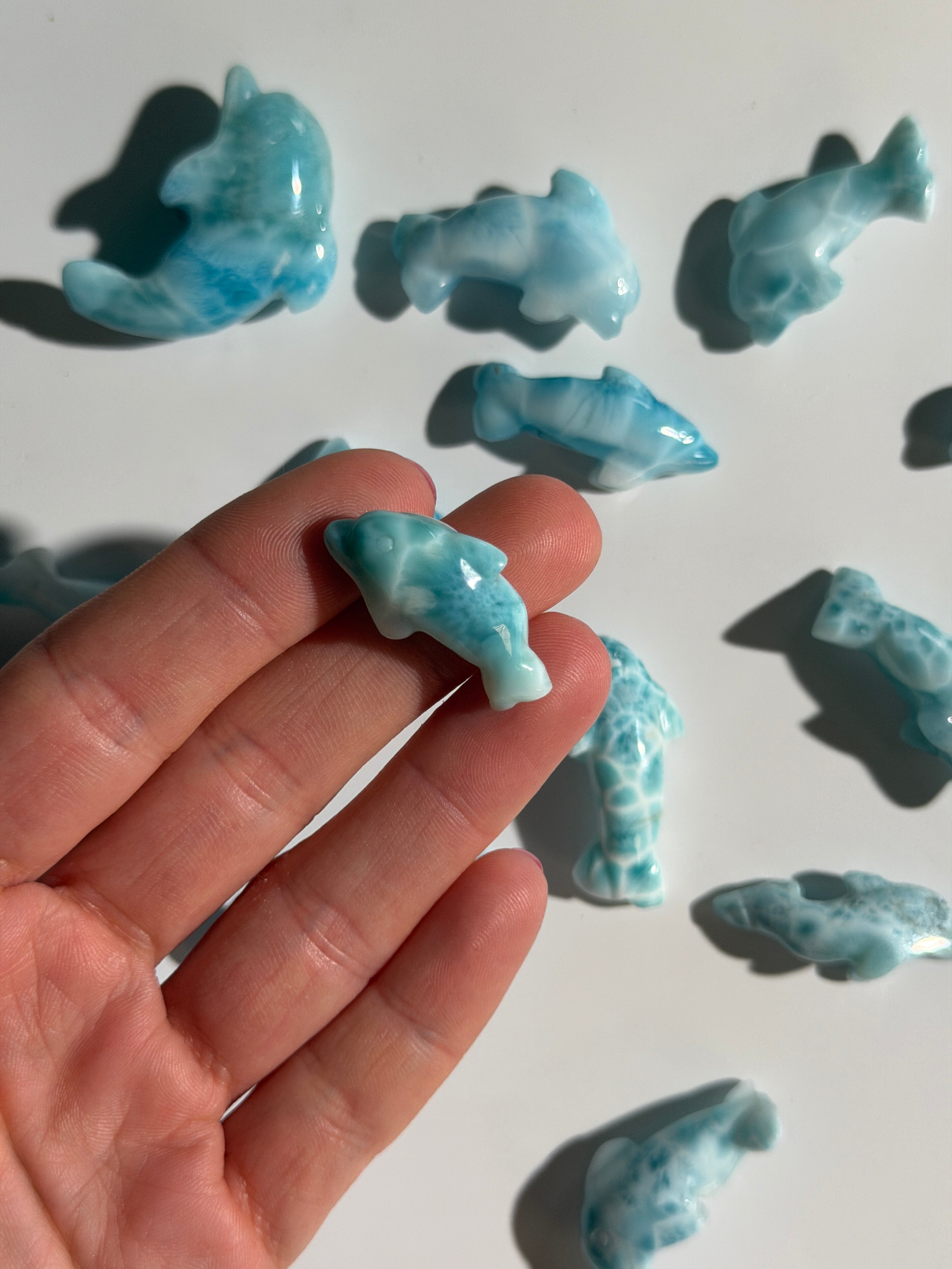 Larimar Delfin | High Quality