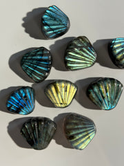 Labradorit Muschel