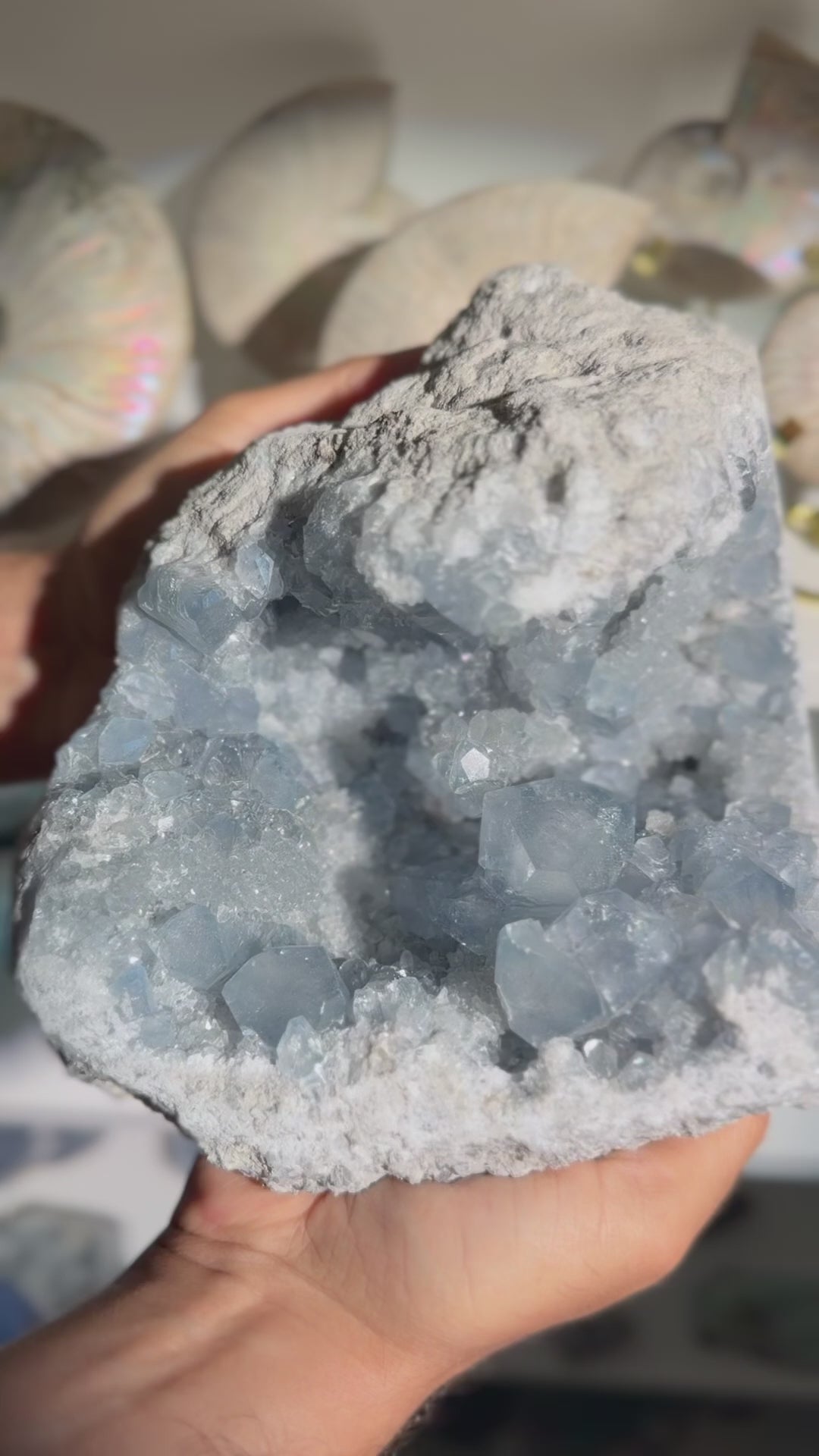 Video laden: Celestit Coelestin Geode | 5,8kg